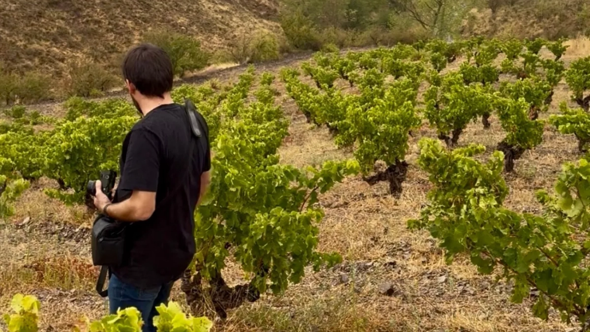 La historia secreta de lo que Aragón pudo ser, contada por un viñedo viejo de Calatayud