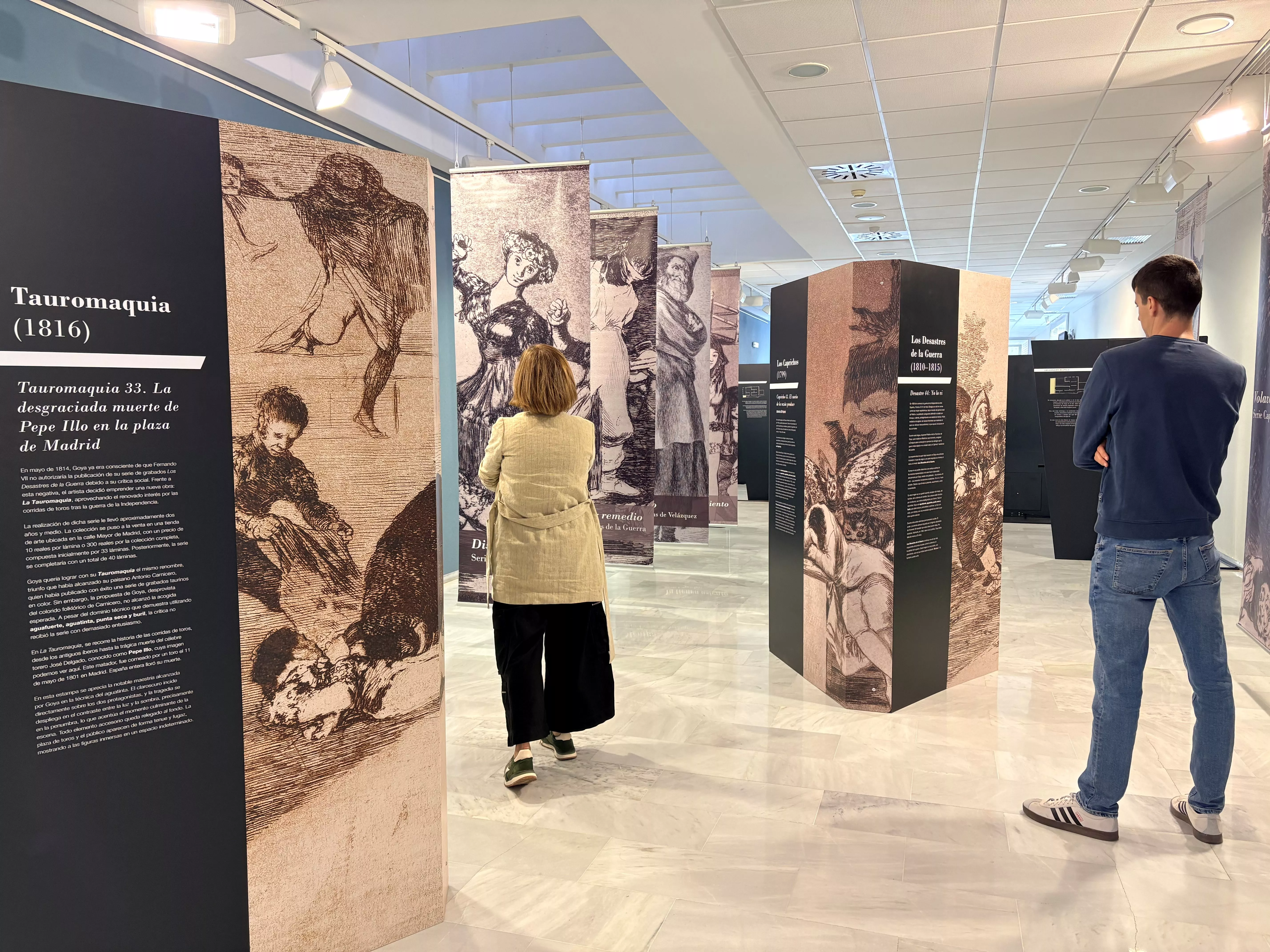 Goya, un museo en movimiento en Barbastro