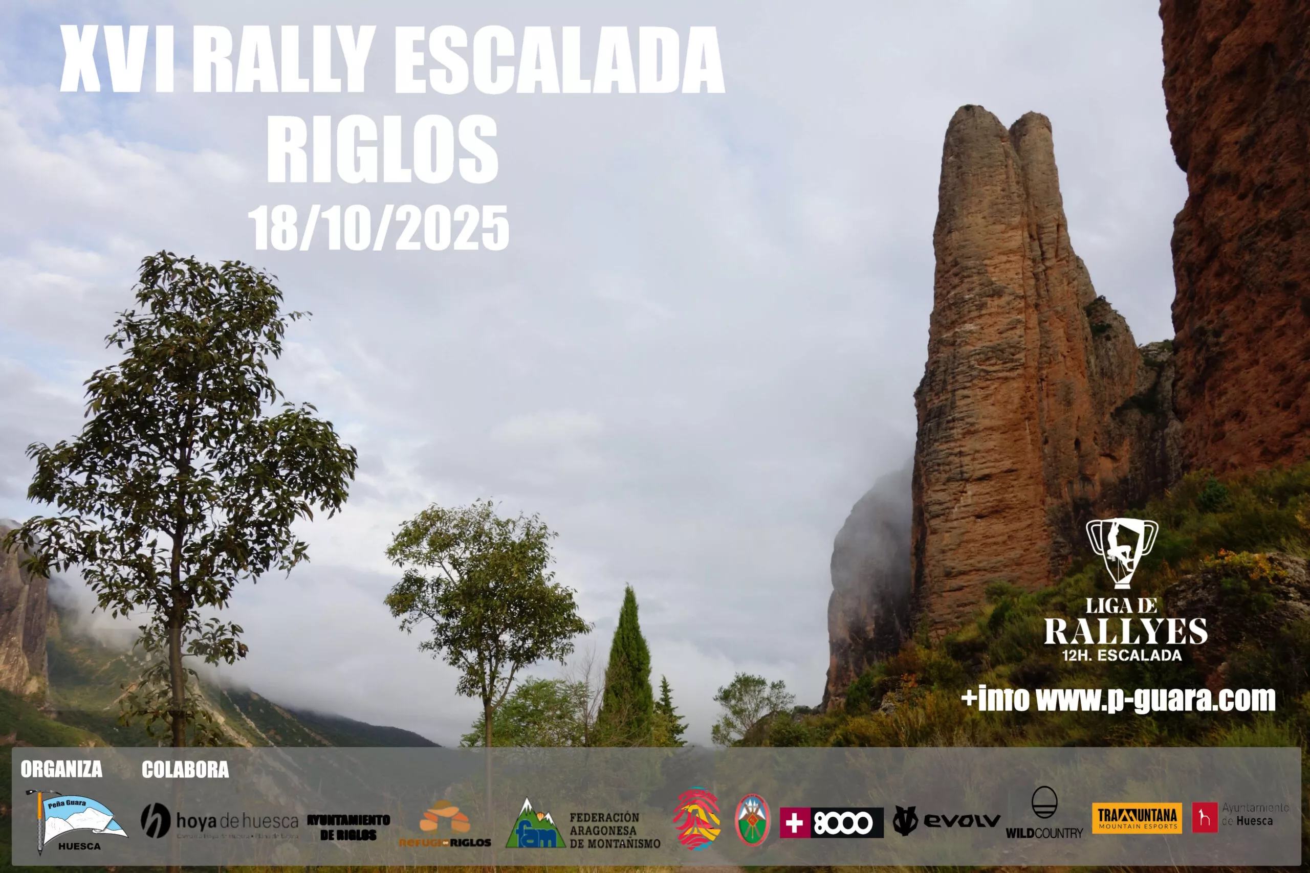 CARTEL RALLY RIGLOS 2025 