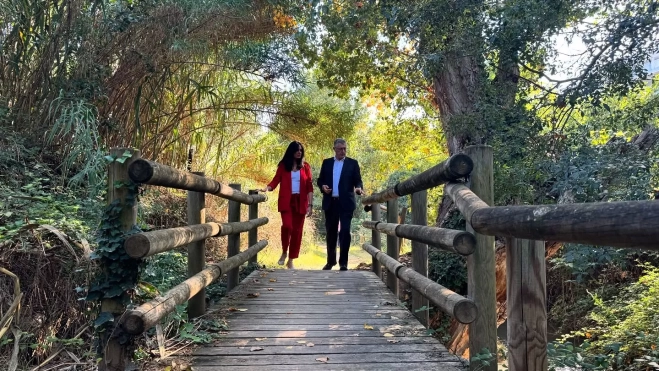 567747704 18407708713141986 5375330583313443481 n 567747704 18407708713141986 5375330583313443481 n