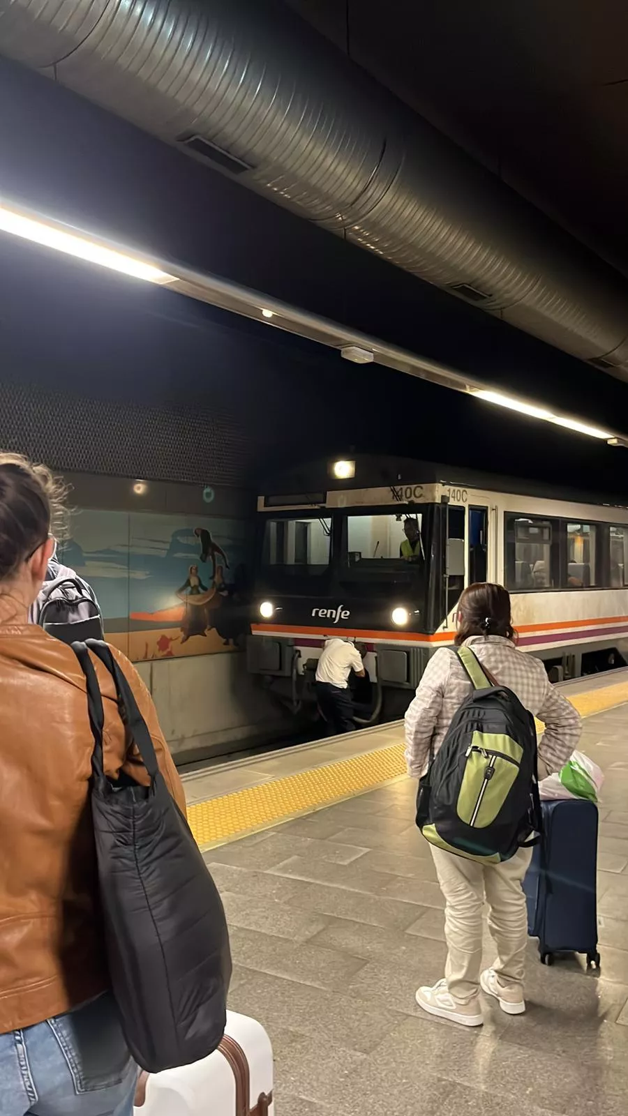 Un operario mira el tren Un operario mira el tren