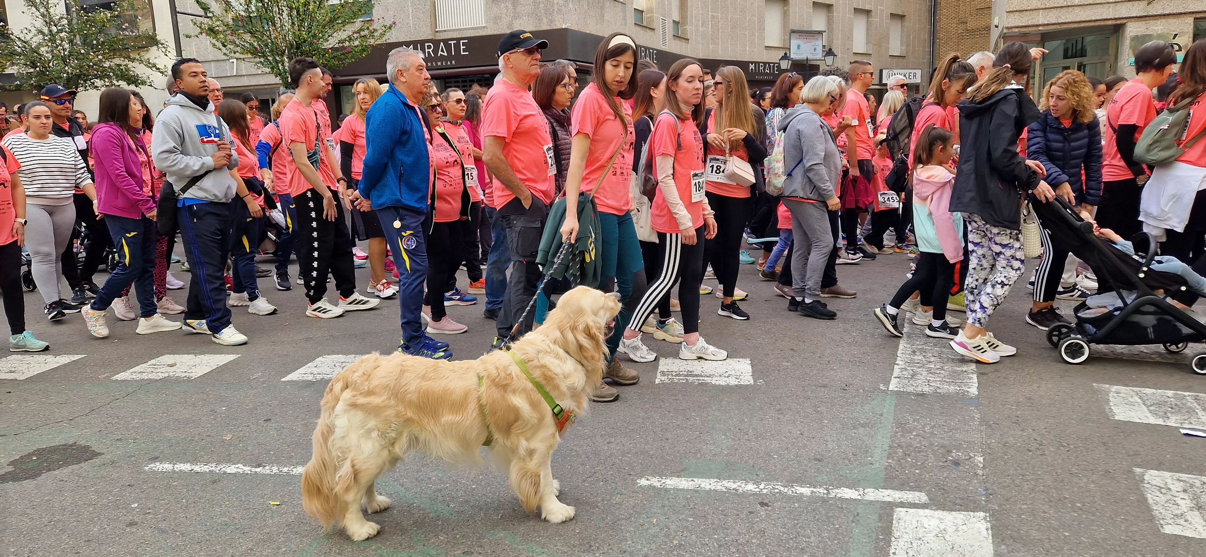 XI Carrera contra el Cáncer de Huesca. Foto Myriam Martínez