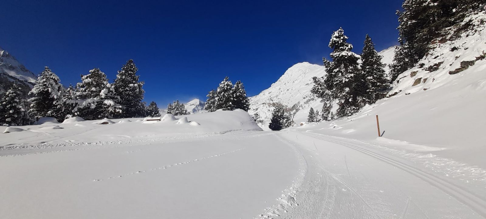 Parque Natural Posets Maladeta Foto Jorge Mayoral 