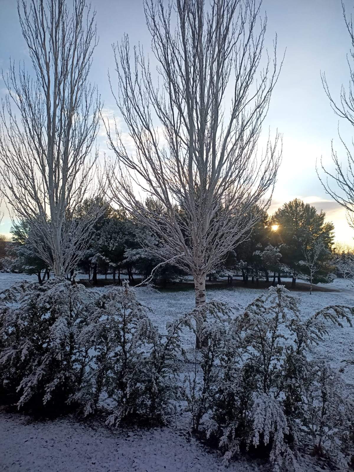 Camino de la Alberca de Cortés sn. Foto Miche Escartín