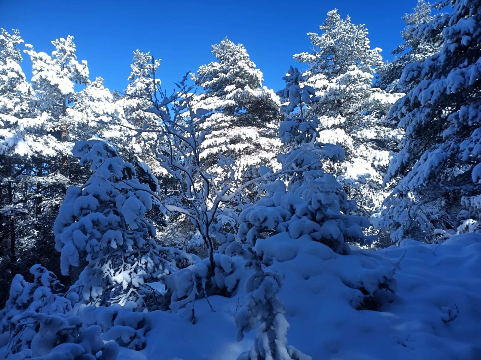 Sierra de Bonés. Foto Miche Escartín
