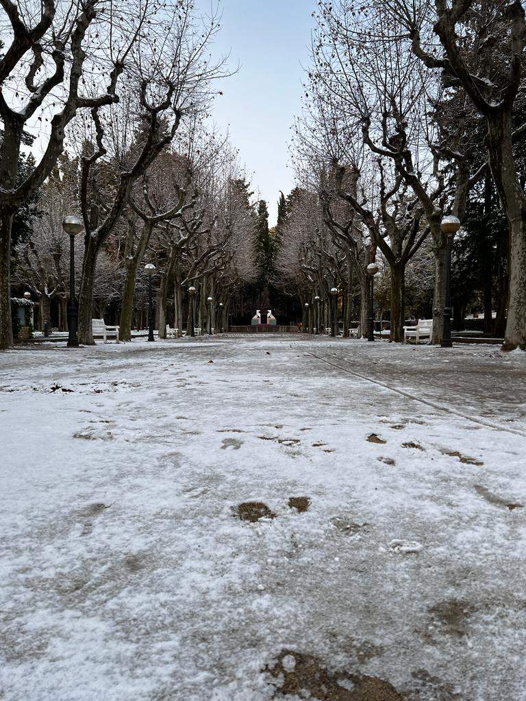 Parque Miguel Servet. Foto Javier Domingo
