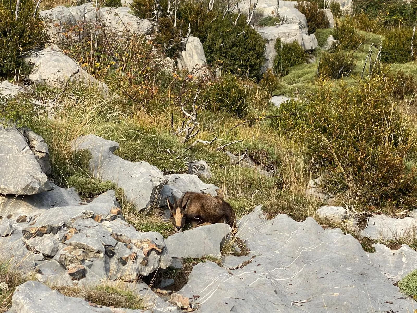 Los Javieres, en la Travesía GR15