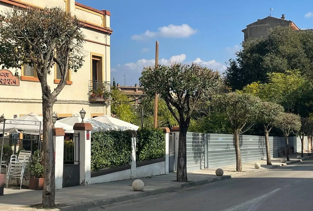  Barbastro interviene en las copas de 164 árboles.