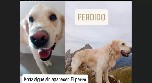 La familia de la joven fallecida en Panticosa pide ayuda para encontrar a su perro desaparecido.
