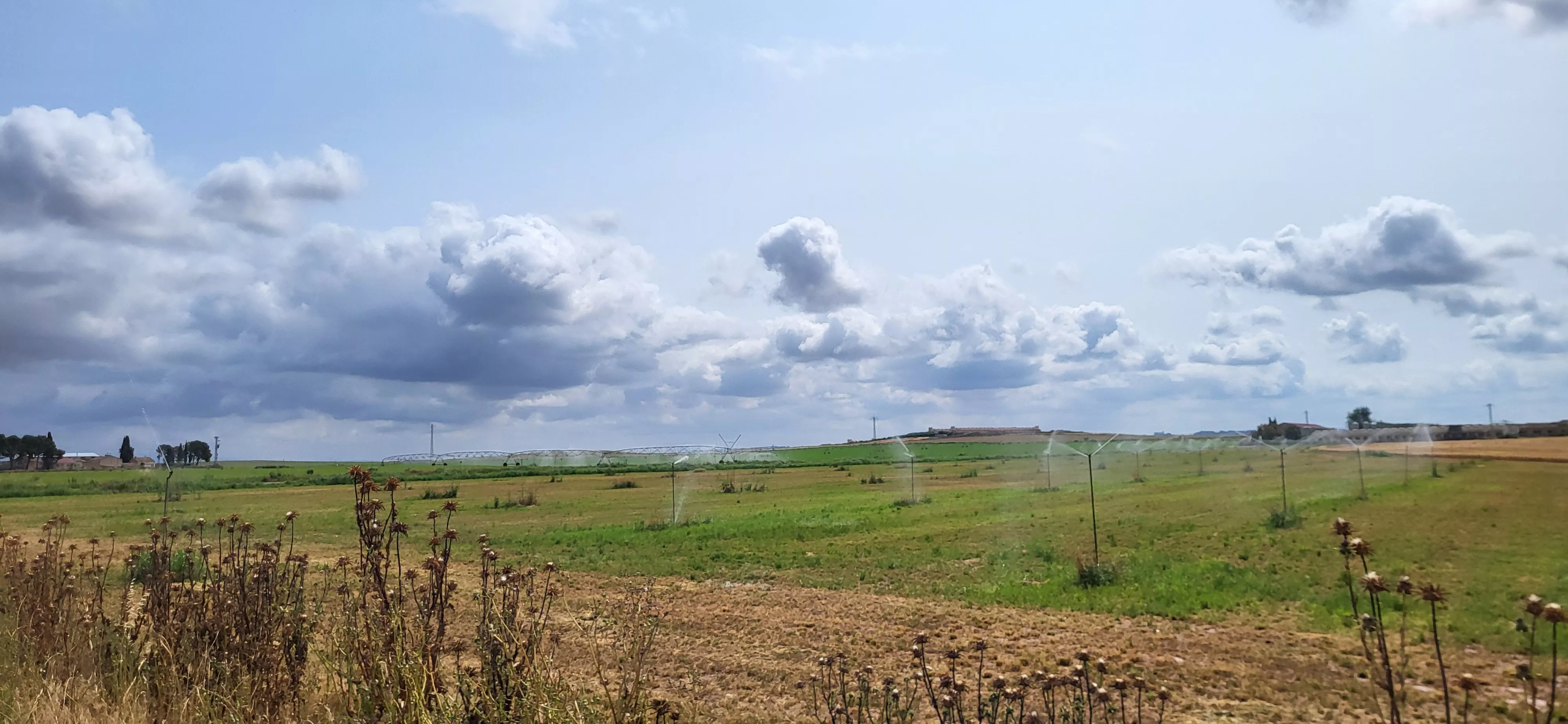 Las Cortes de Aragón reclaman que no se lleve a cabo el recorte de agua de riego propuesto por el Ministerio.