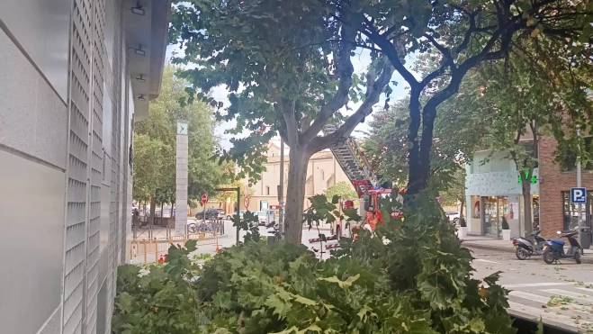 WhatsApp Image 2025 10 20 at 17.35.43 WhatsApp Image 2025 10 20 at 17.35.43