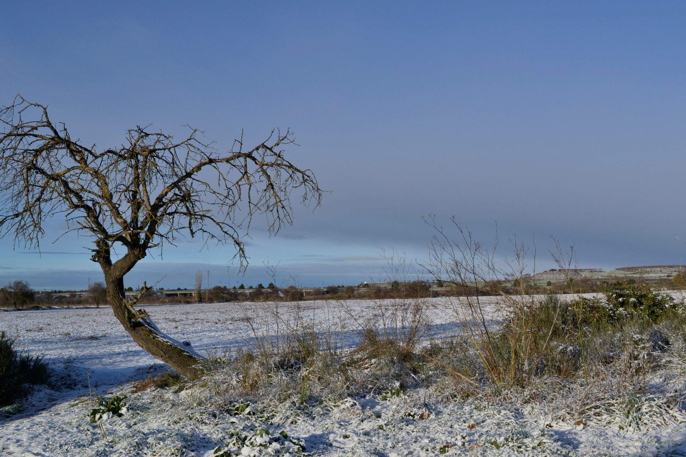 Nieve en la ciudad de Huesca. Foto Noelia Rubio (Escuela de Arte de Huesca)