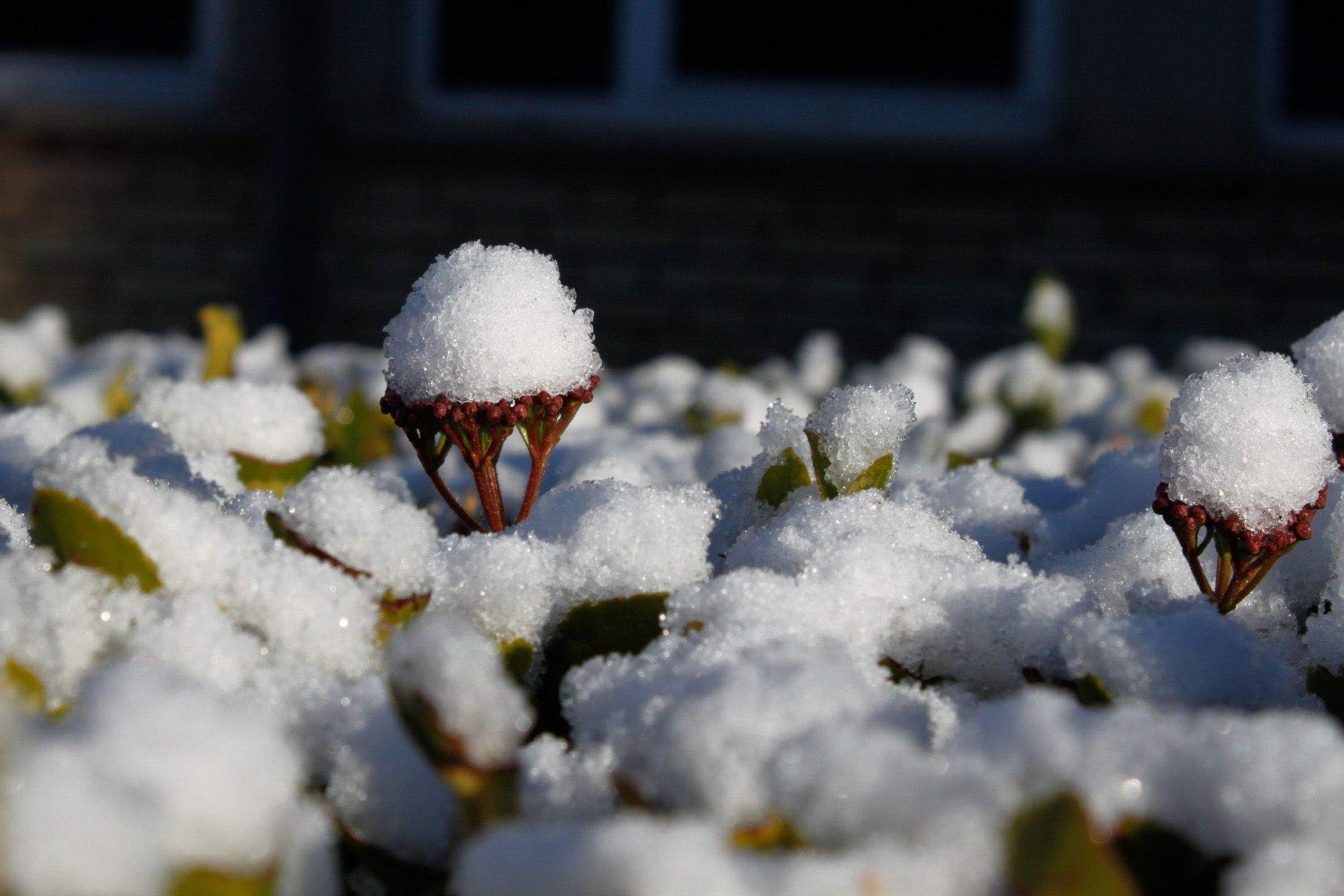 Nieve en la ciudad de Huesca. Foto. Alejandro Vargas (Escuela de Arte de Huesca)