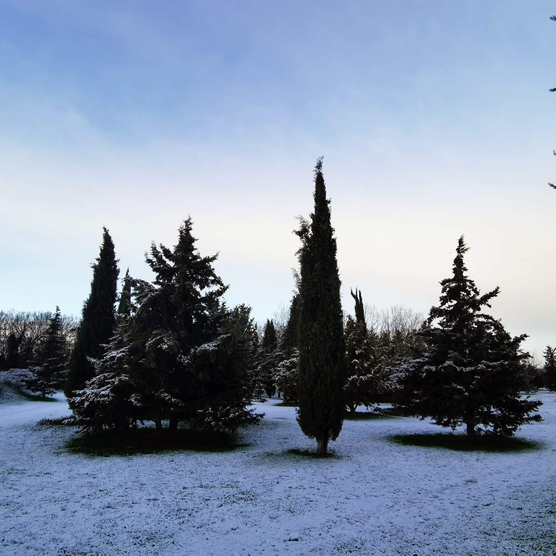 Nieve en la ciudad de Huesca y su entorno. Foto Miguel Bescós 