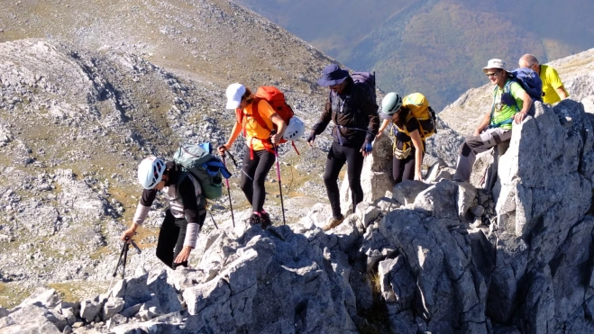 1000043788 1000043788