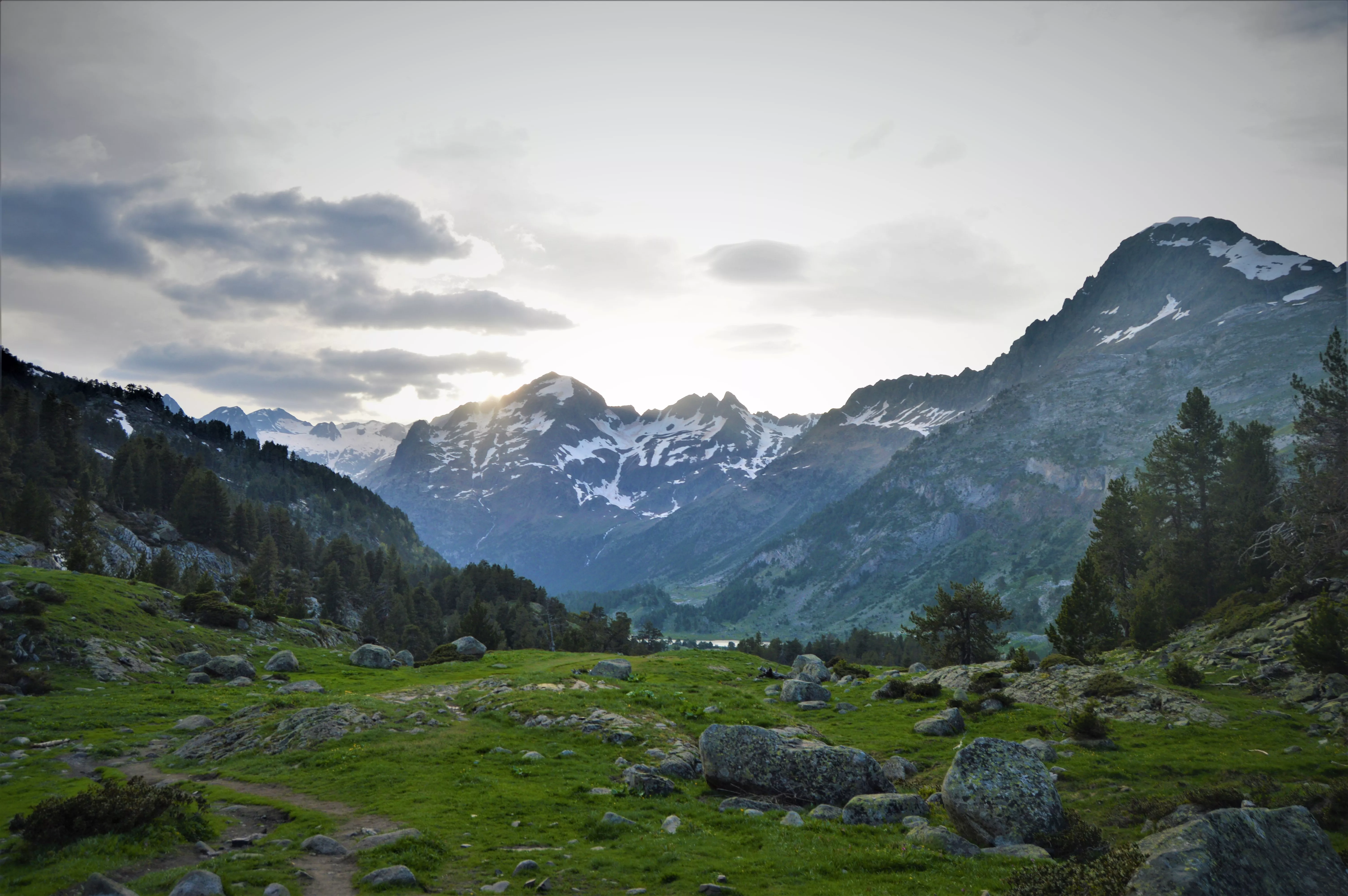 Las actividades de la Red Natural de Aragón son gratuitas.