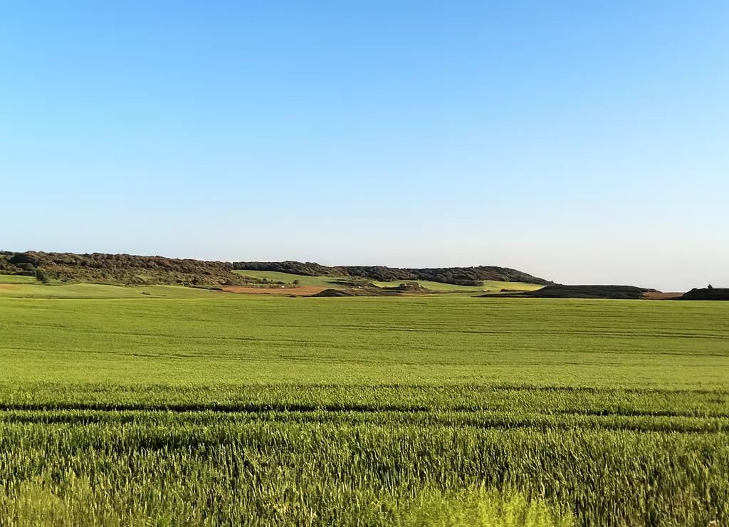 Las cooperativas agroalimentarias hacen que muchas explotaciones sean más viables.