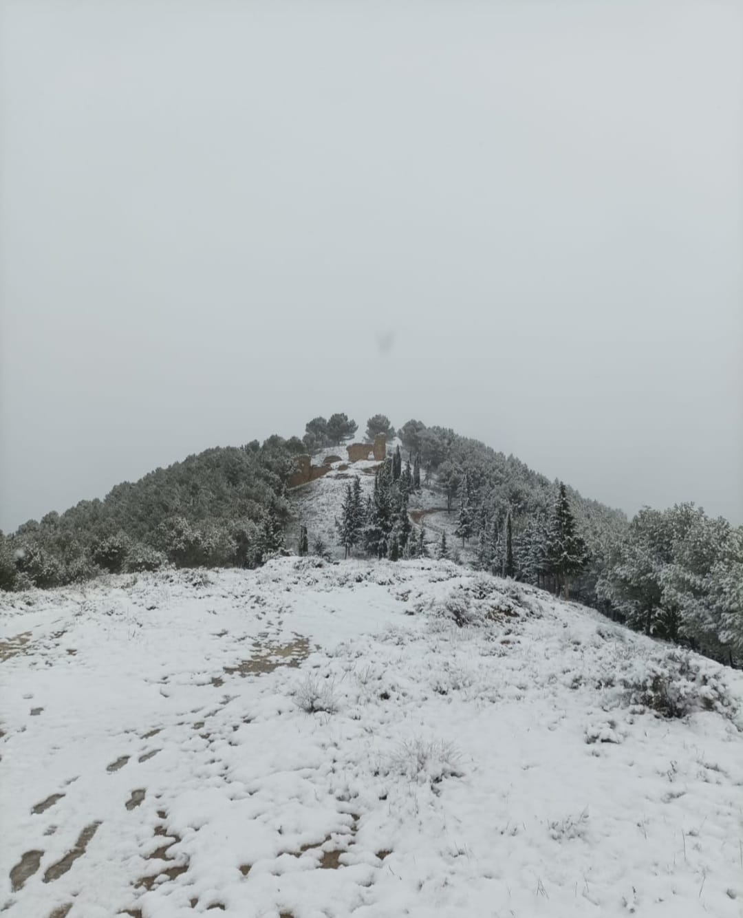 Monte San Miguel de Ayerbe. Foto Fran Clavería