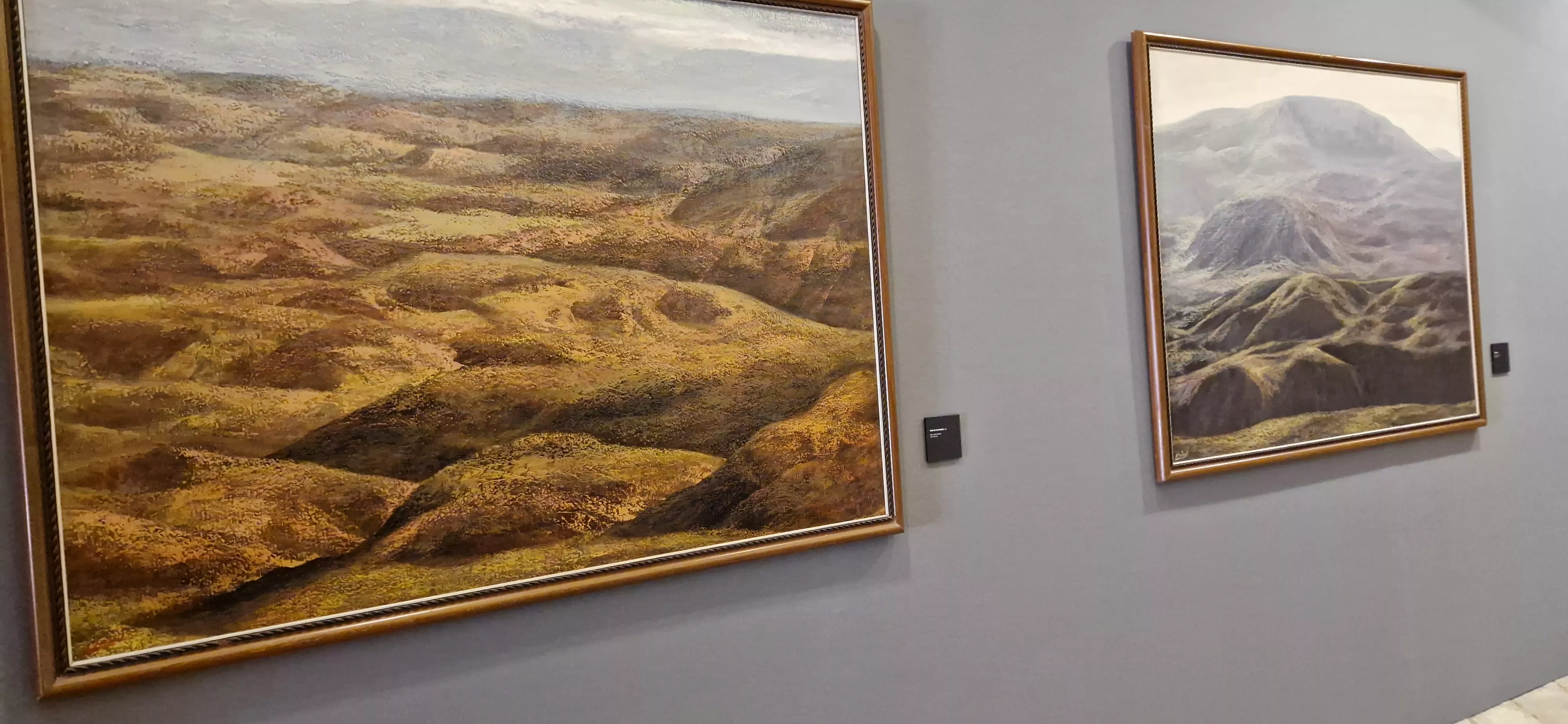 Exposición de Leoncio Mairal en el Museo de Huesca. Foto Myriam Martínez