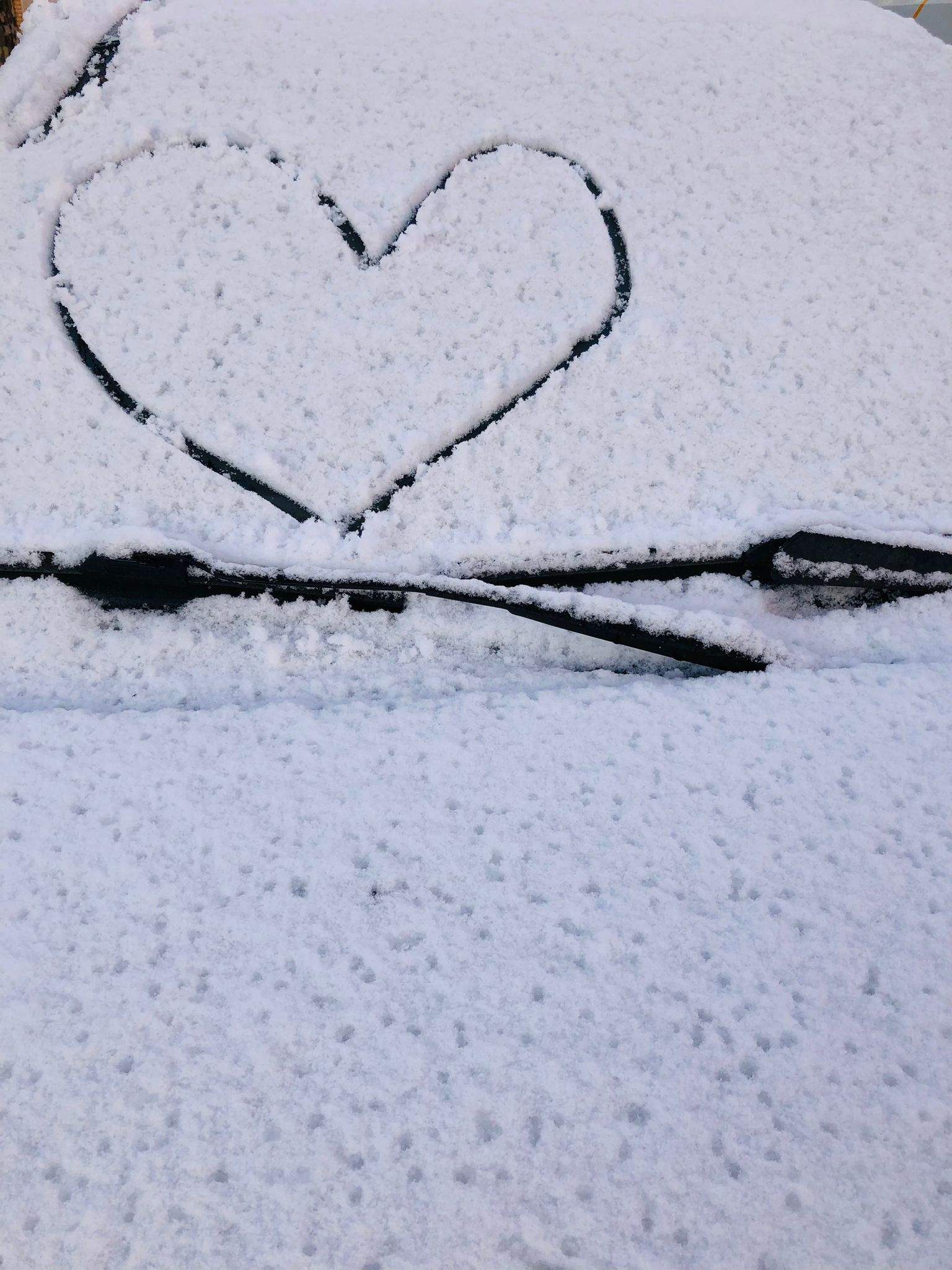 Los estudiantes de la Escuela de Arte de Huesca se lo han pasado así de bien en la mañana de este jueves. Foto Macu Vicente