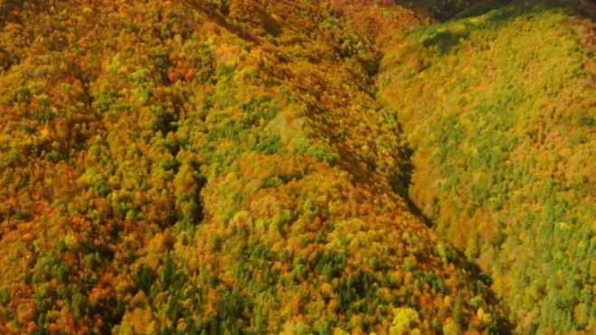 Captura de pantalla 2025 10 23 175659 Captura de pantalla 2025 10 23 175659