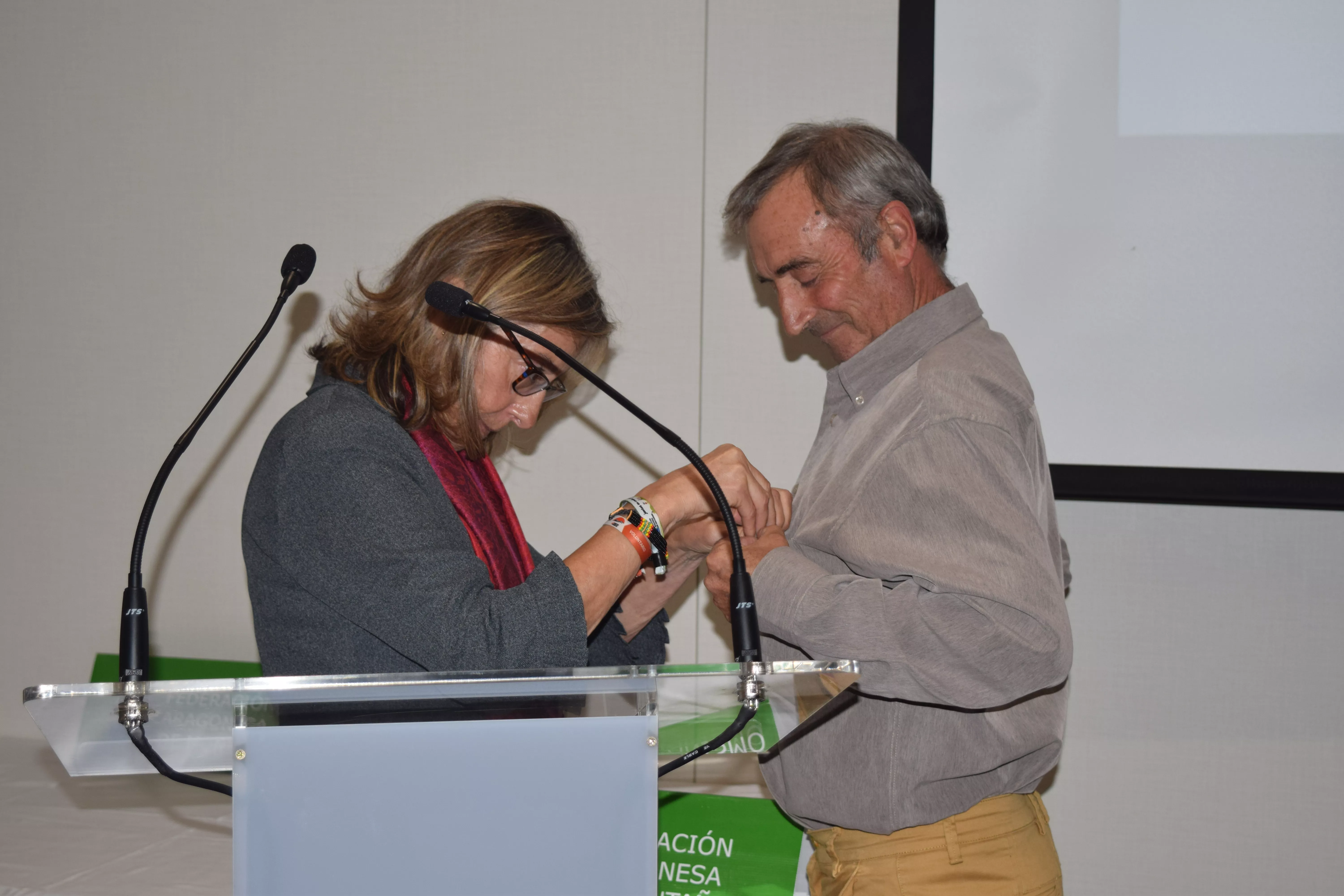 Insignia Oro Jesús Laín 