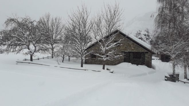 Imagen de Gabardito Imagen de Gabardito