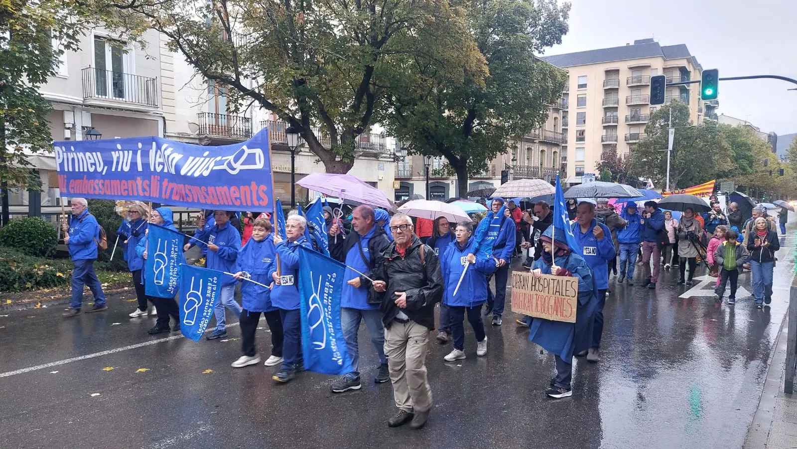 Manifestación convocada por el Movimiento por la Dignidad de la Montaña en Jaca.