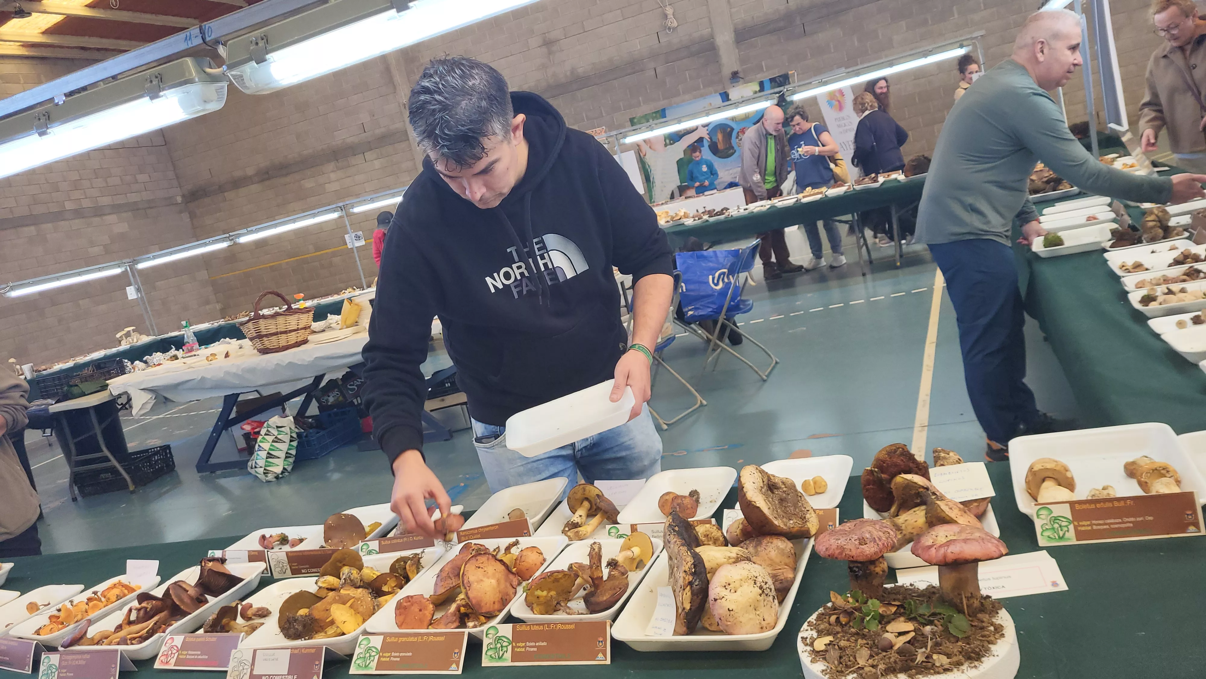  Jornadas Micológicas de Ayerbe. Foto Mercedes Manterola