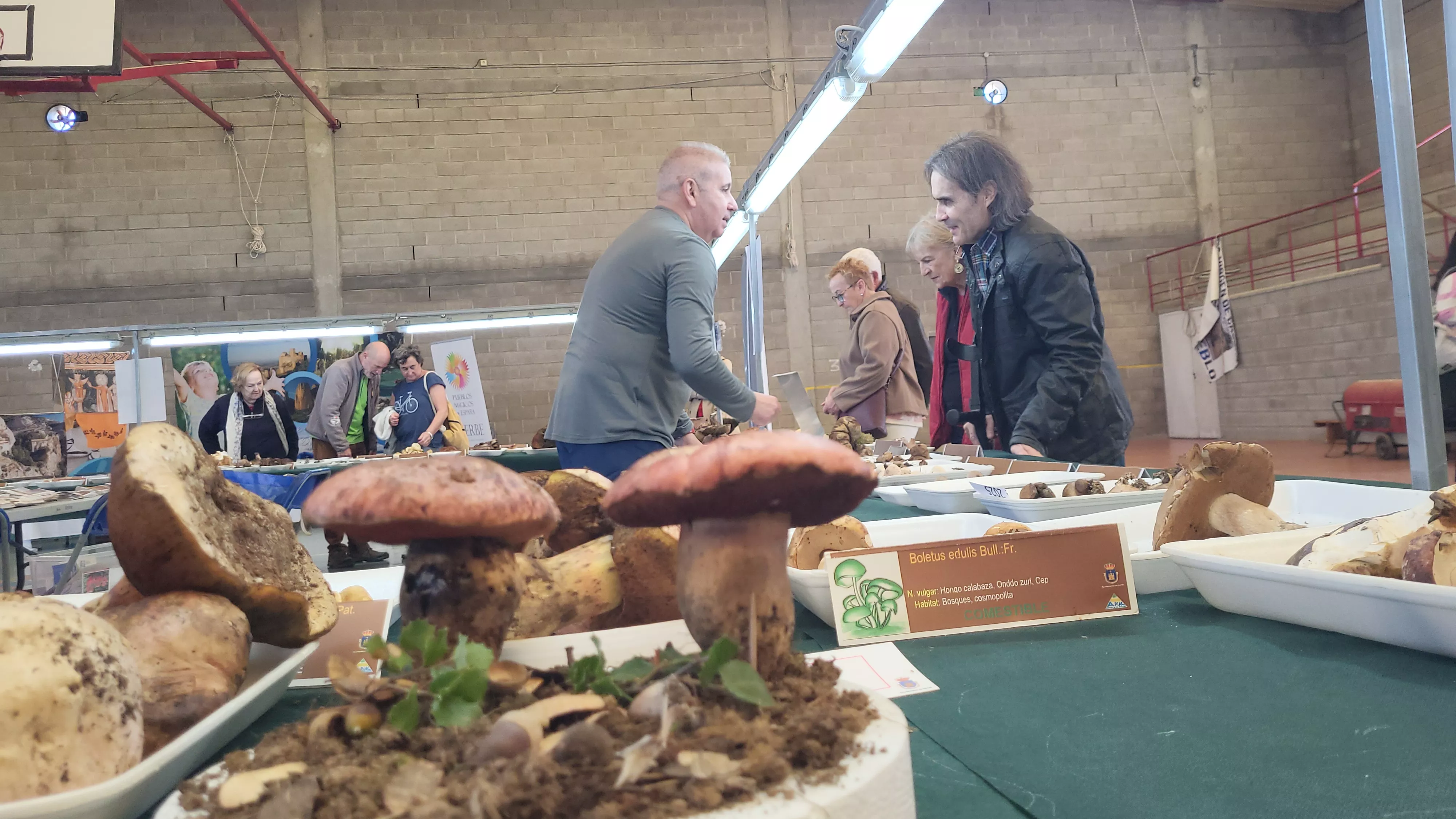 Jornadas Micológicas de Ayerbe. Foto Mercedes Manterola Jornadas Micológicas de Ayerbe. Foto Mercedes Manterola