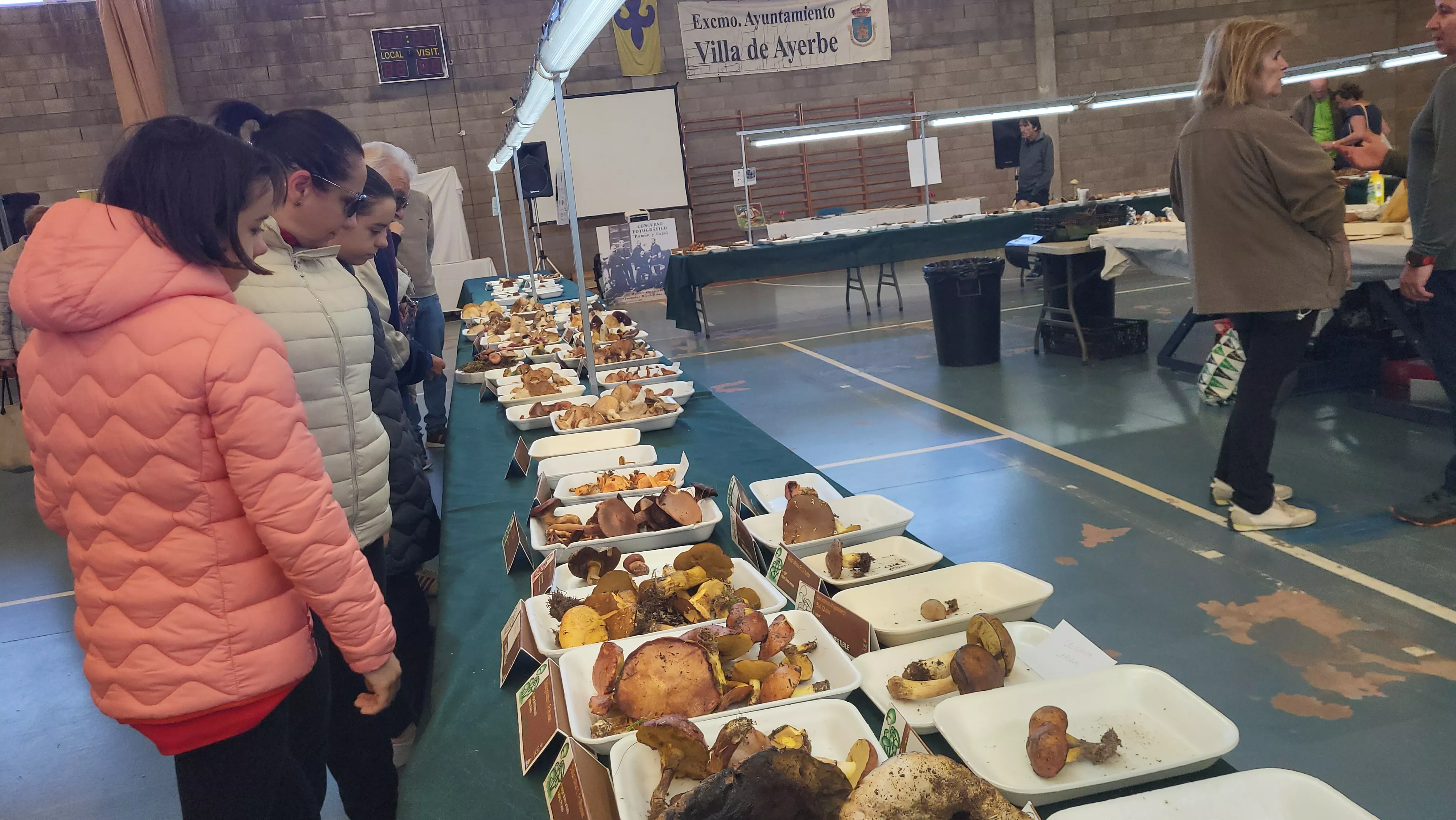  Jornadas Micológicas de Ayerbe. Foto Mercedes Manterola