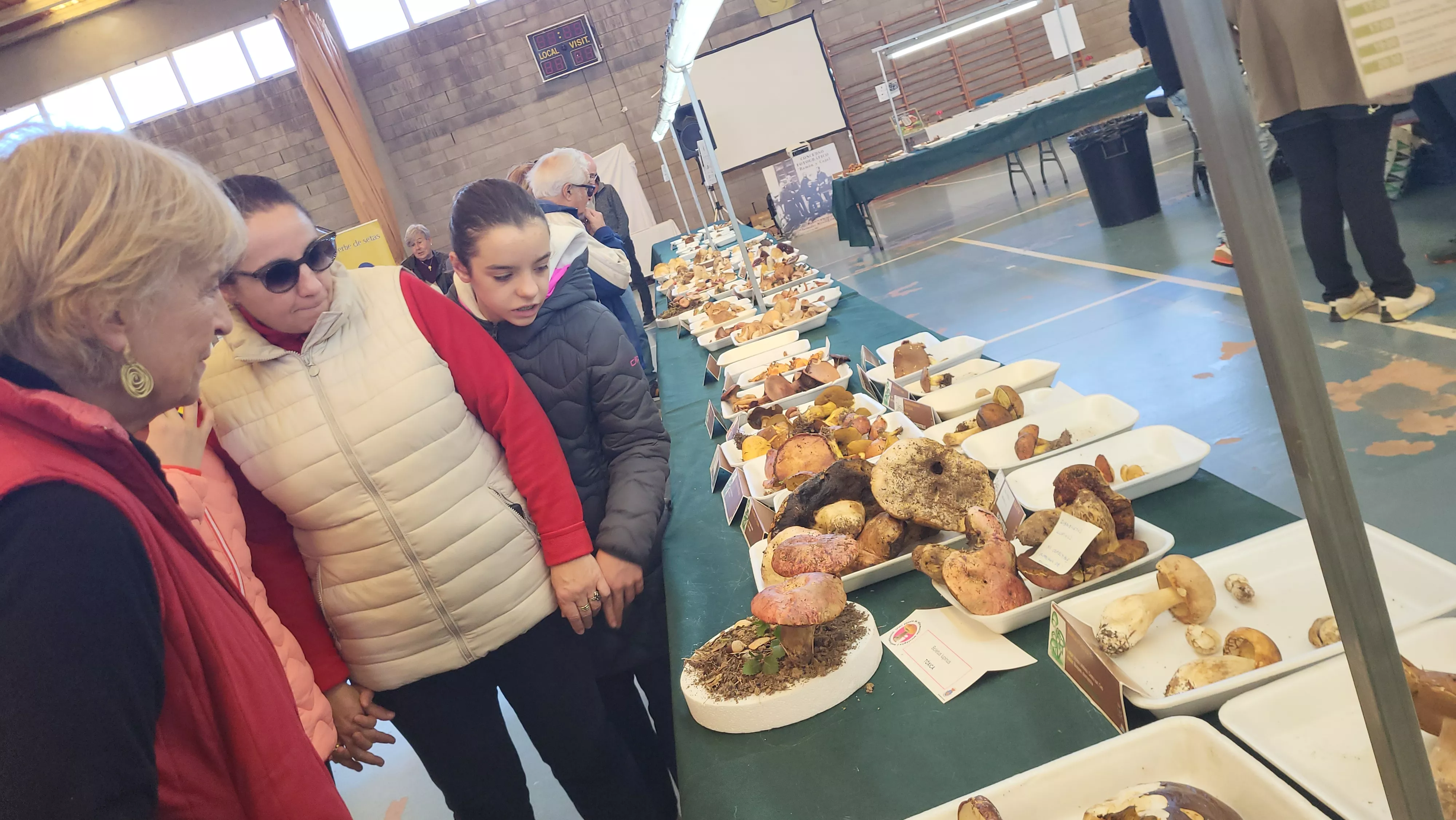  Jornadas Micológicas de Ayerbe. Foto Mercedes Manterola