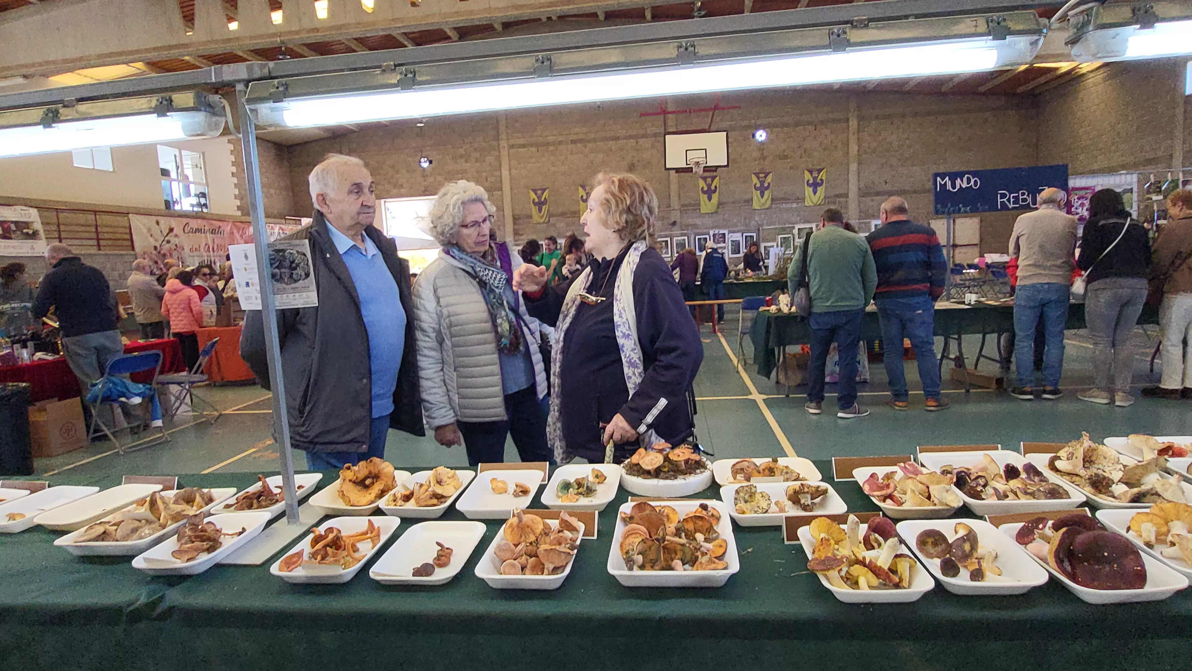  Jornadas Micológicas de Ayerbe. Foto Mercedes Manterola