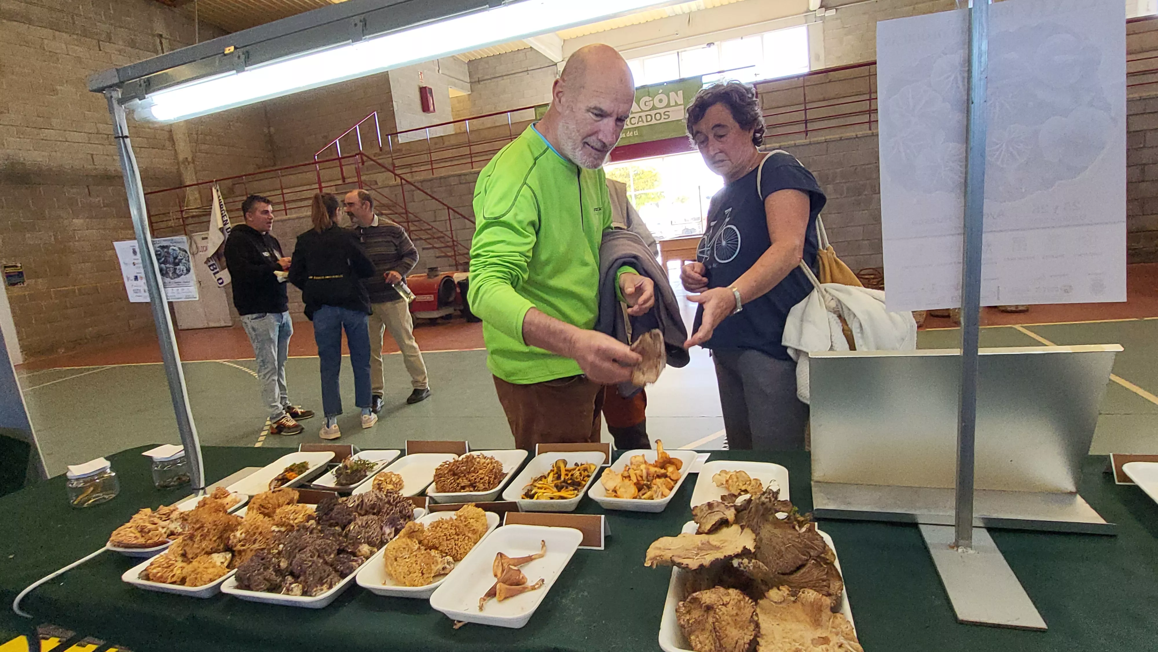  Jornadas Micológicas de Ayerbe. Foto Mercedes Manterola