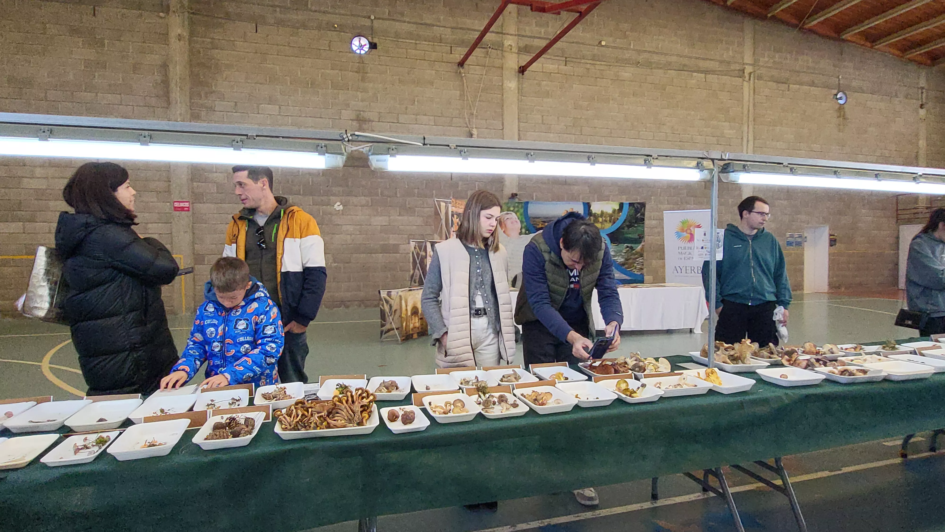  Jornadas Micológicas de Ayerbe. Foto Mercedes Manterola