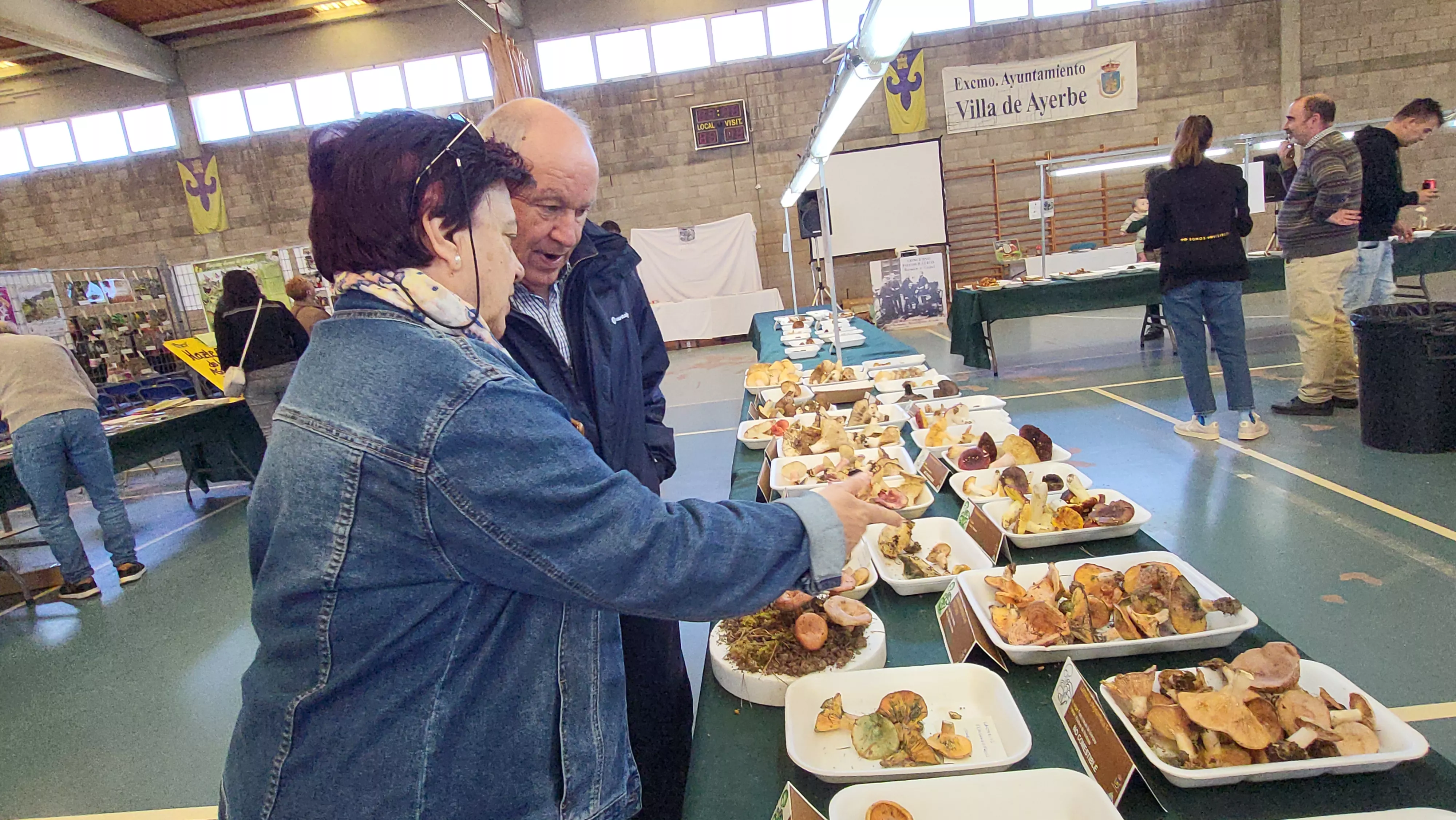  Jornadas Micológicas de Ayerbe. Foto Mercedes Manterola