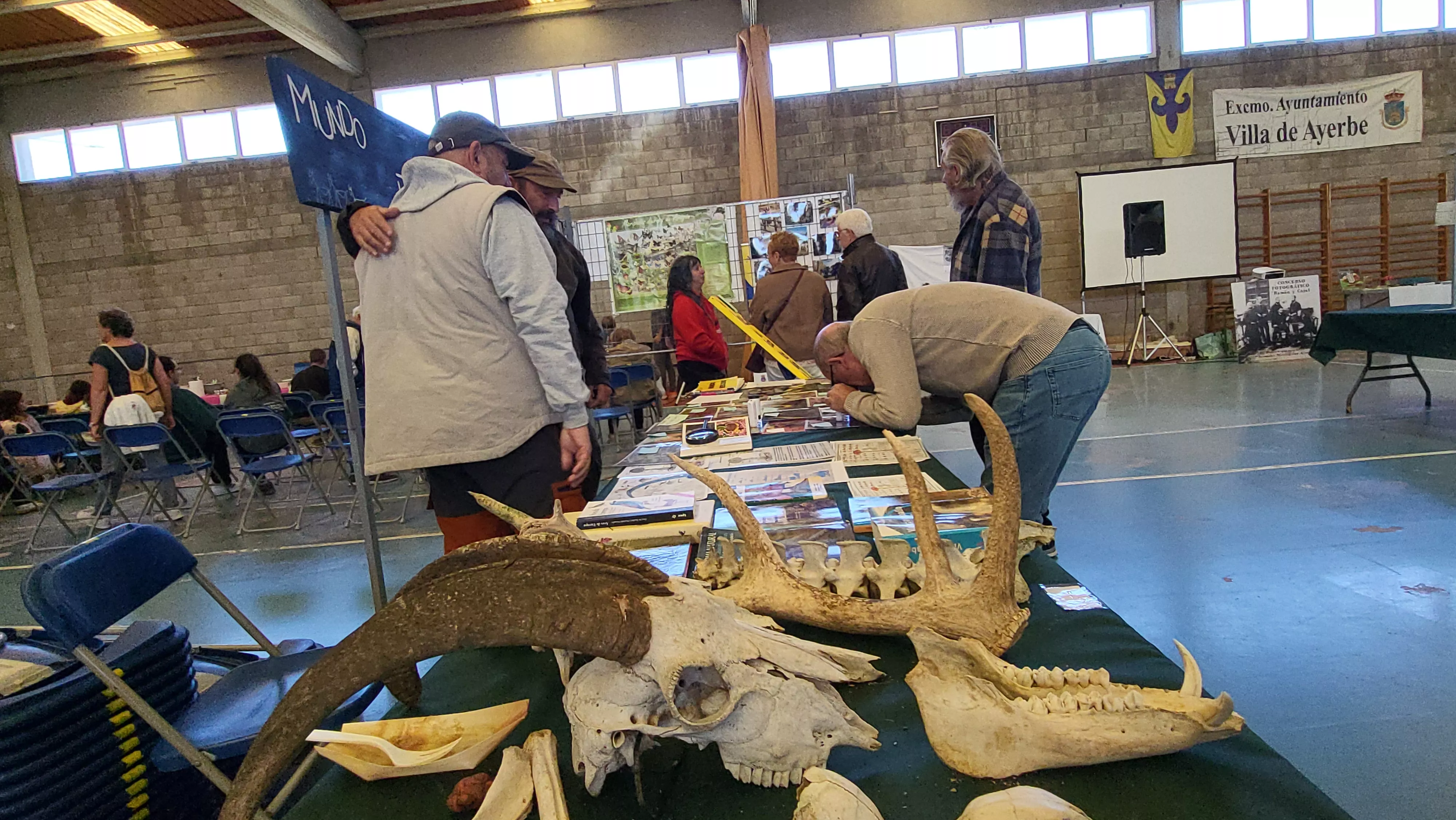  Jornadas Micológicas de Ayerbe. Foto Mercedes Manterola