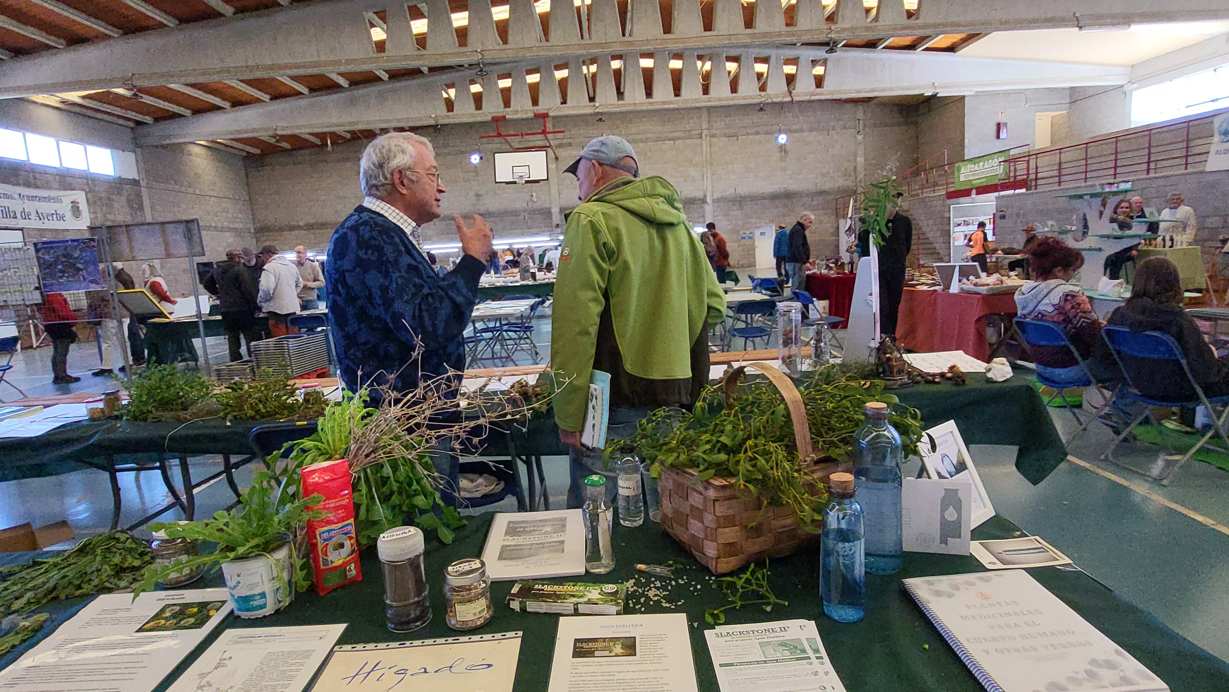  Jornadas Micológicas de Ayerbe. Foto Mercedes Manterola