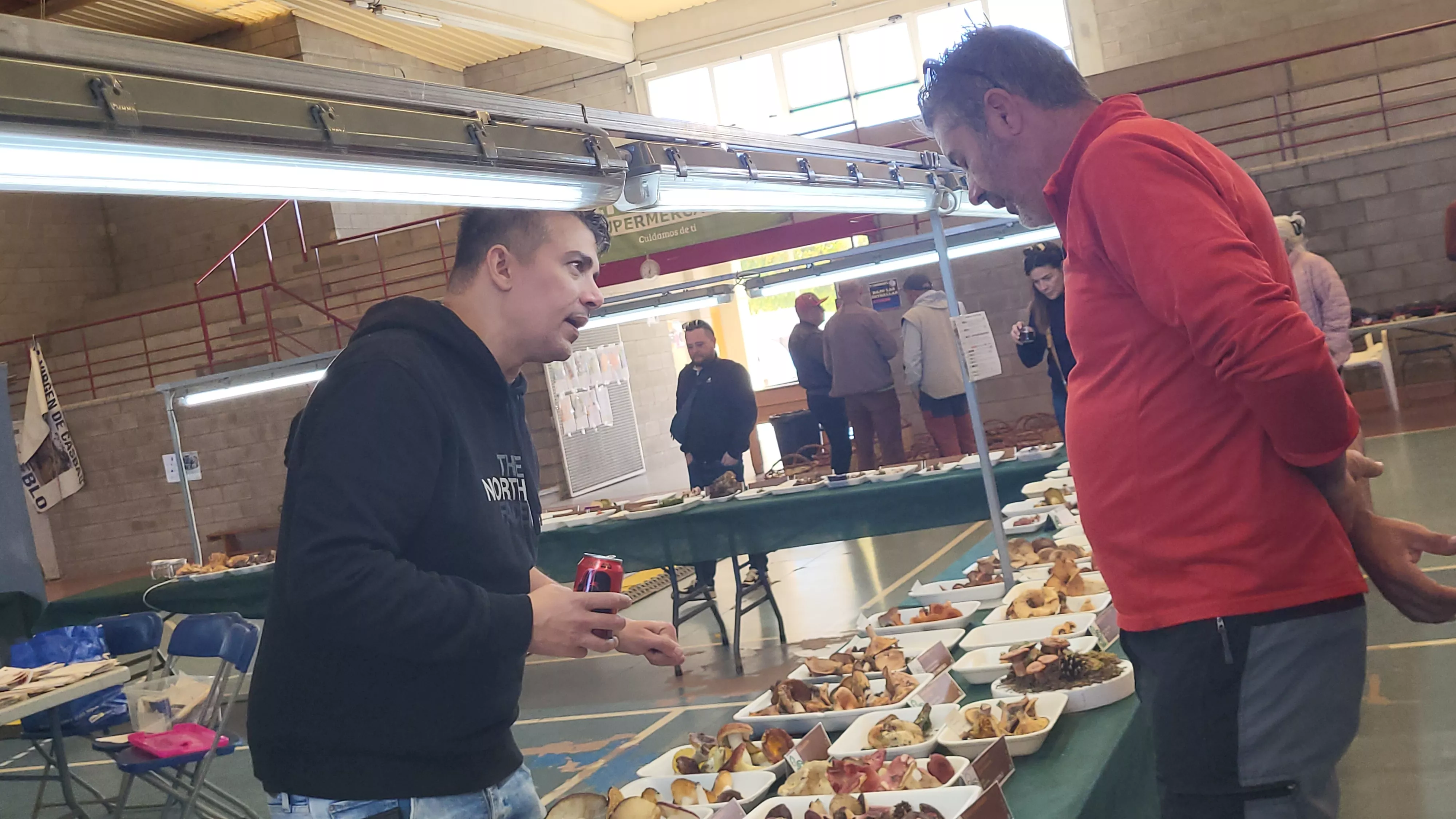  Jornadas Micológicas de Ayerbe. Foto Mercedes Manterola