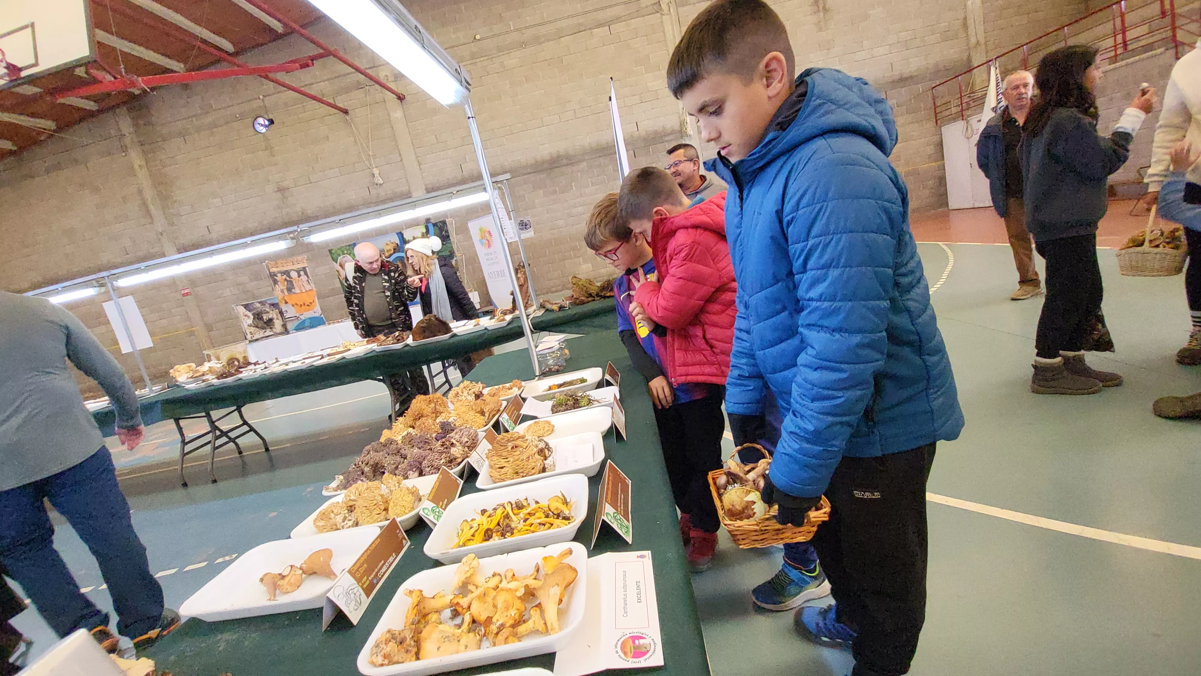  Jornadas Micológicas de Ayerbe. Foto Mercedes Manterola