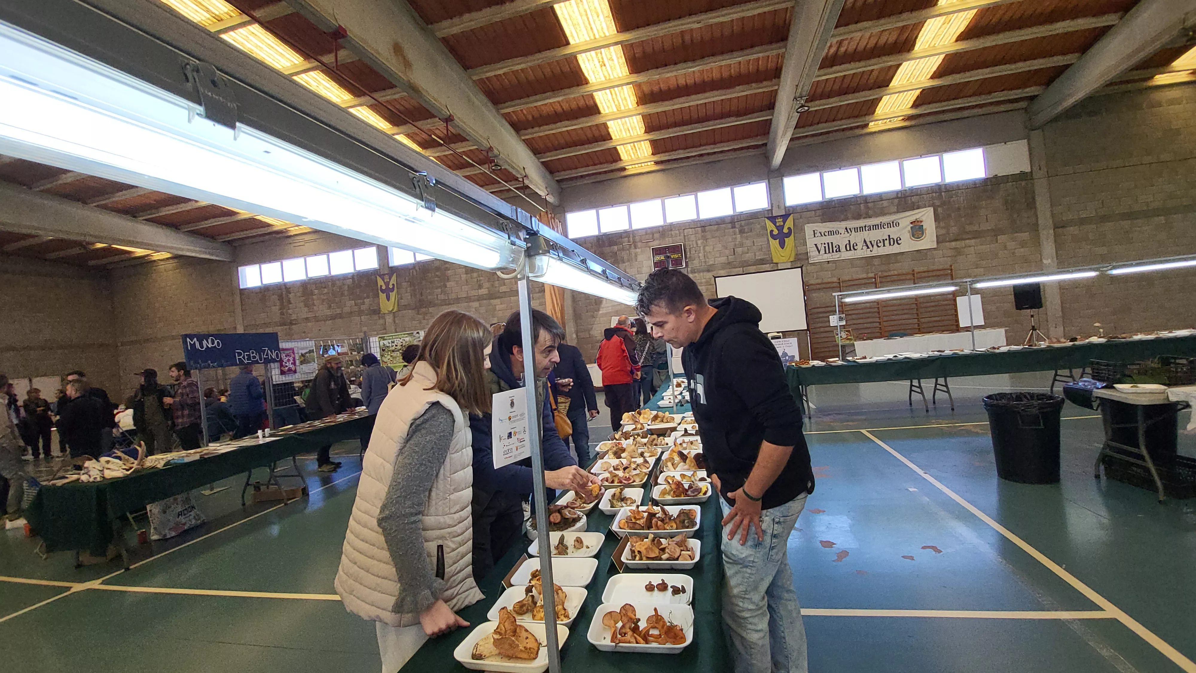  Jornadas Micológicas de Ayerbe. Foto Mercedes Manterola