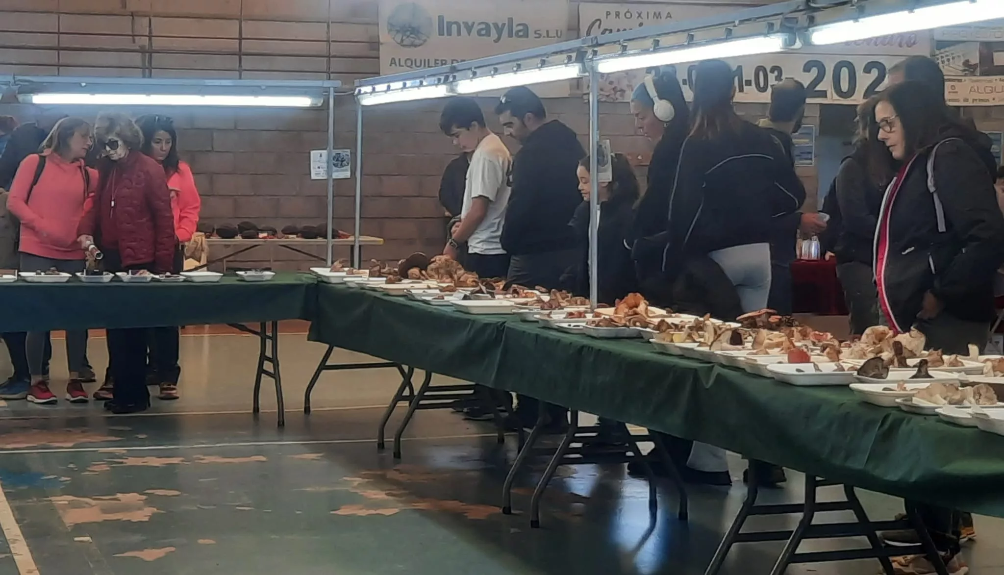  Jornadas Micológicas de Ayerbe.