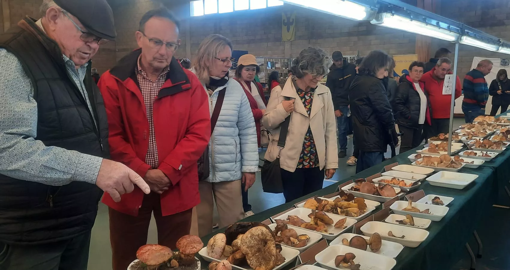  Jornadas Micológicas de Ayerbe.