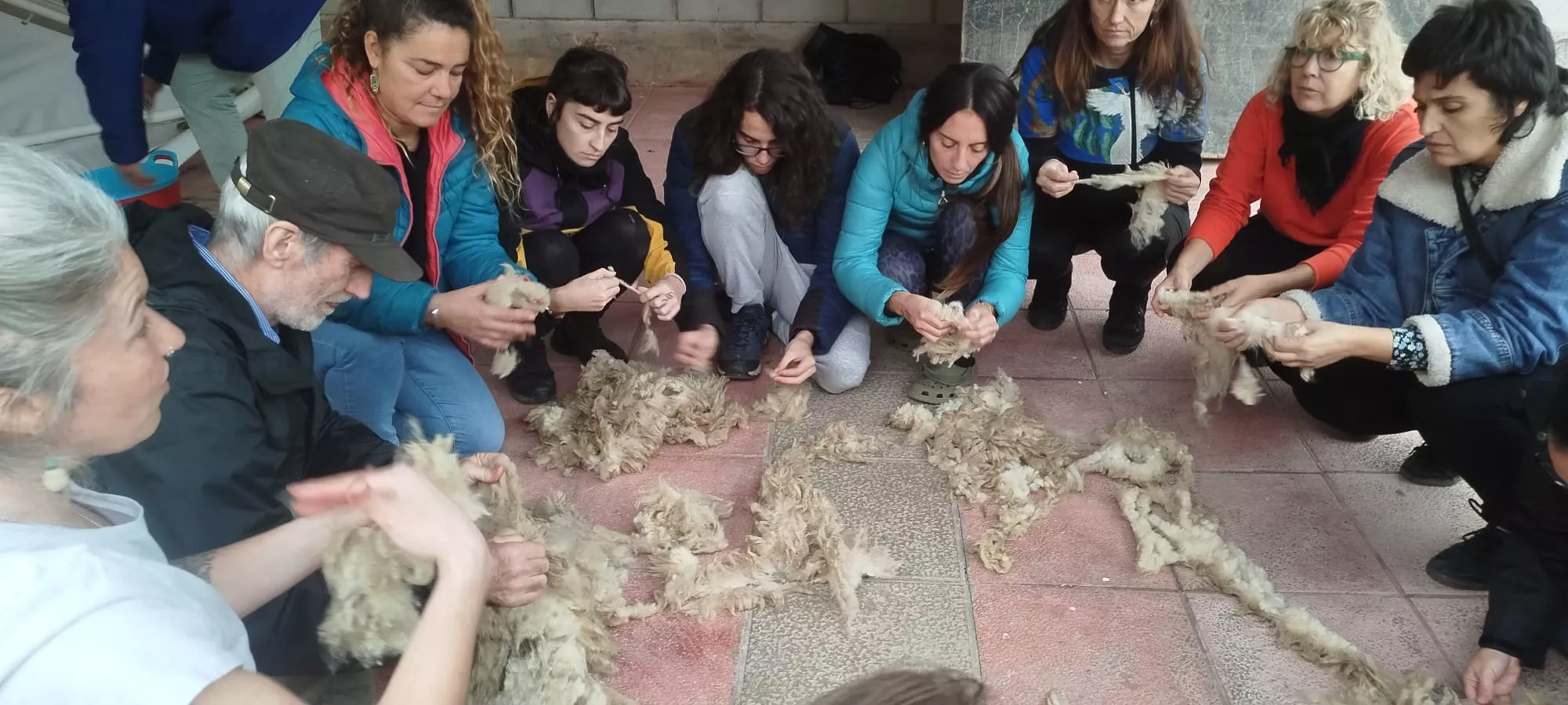  Jornadas Micológicas de Ayerbe.