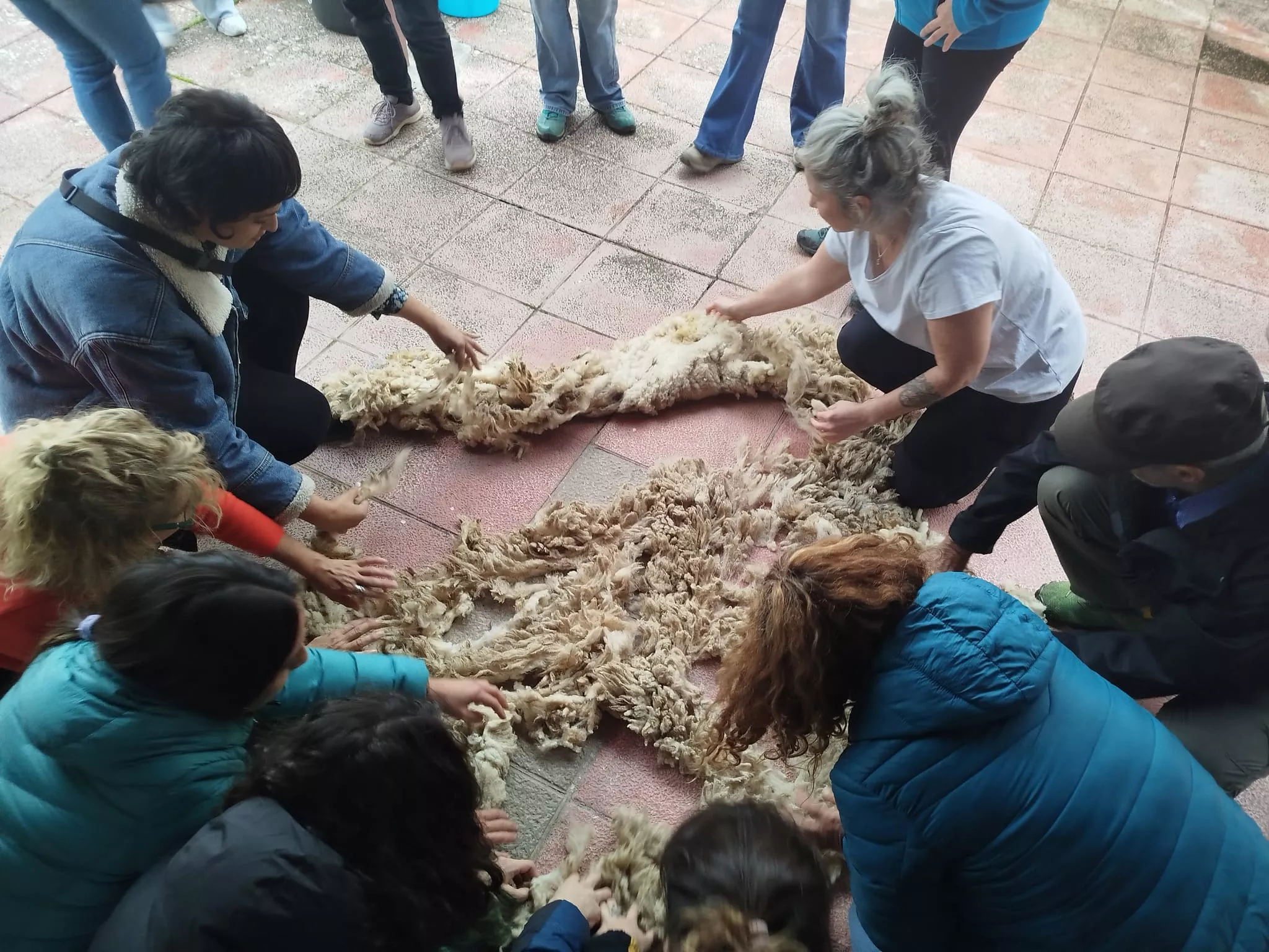  Jornadas Micológicas de Ayerbe.