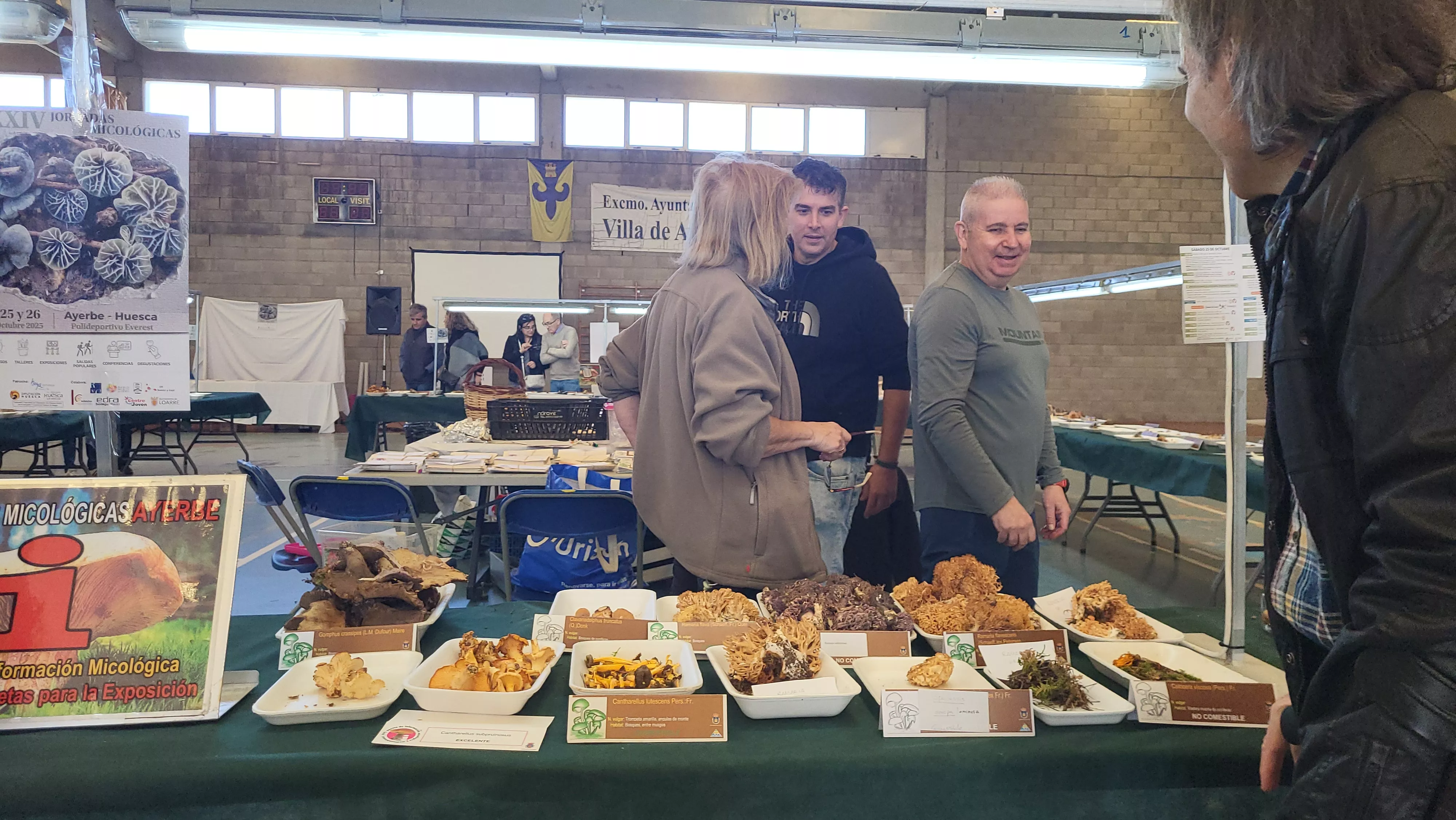  Jornadas Micológicas de Ayerbe. Foto Mercedes Manterola