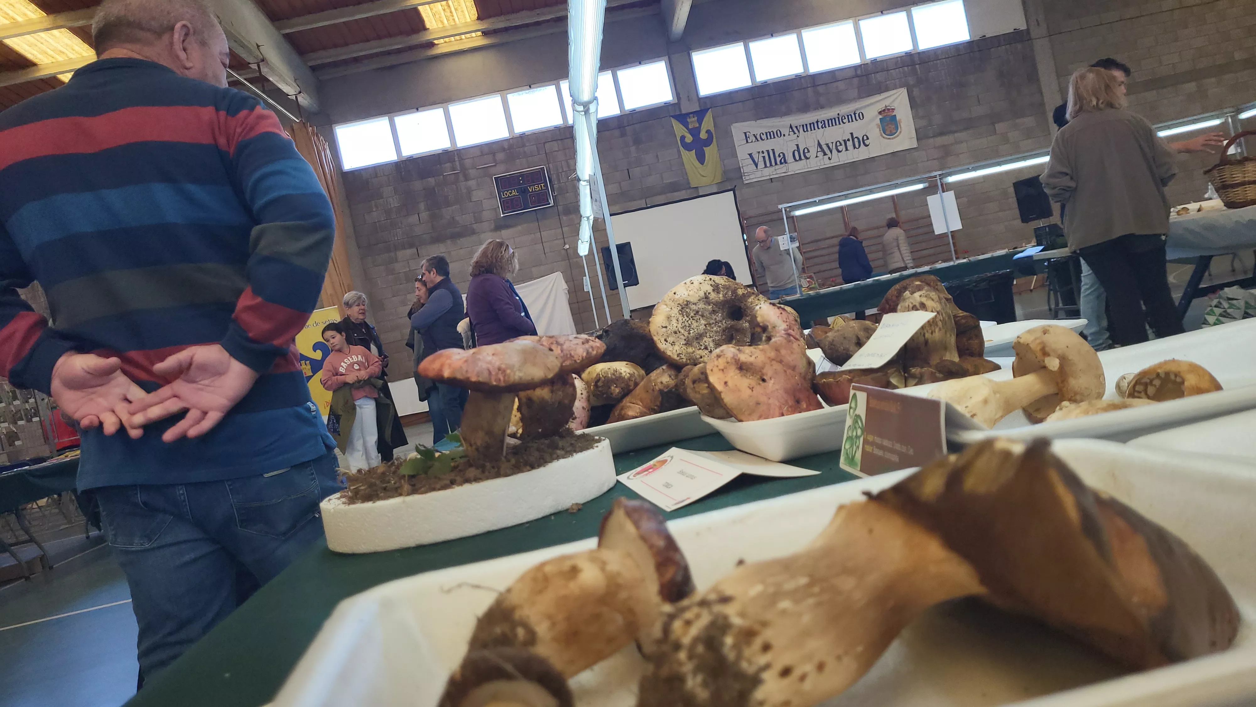  Jornadas Micológicas de Ayerbe. Foto Mercedes Manterola