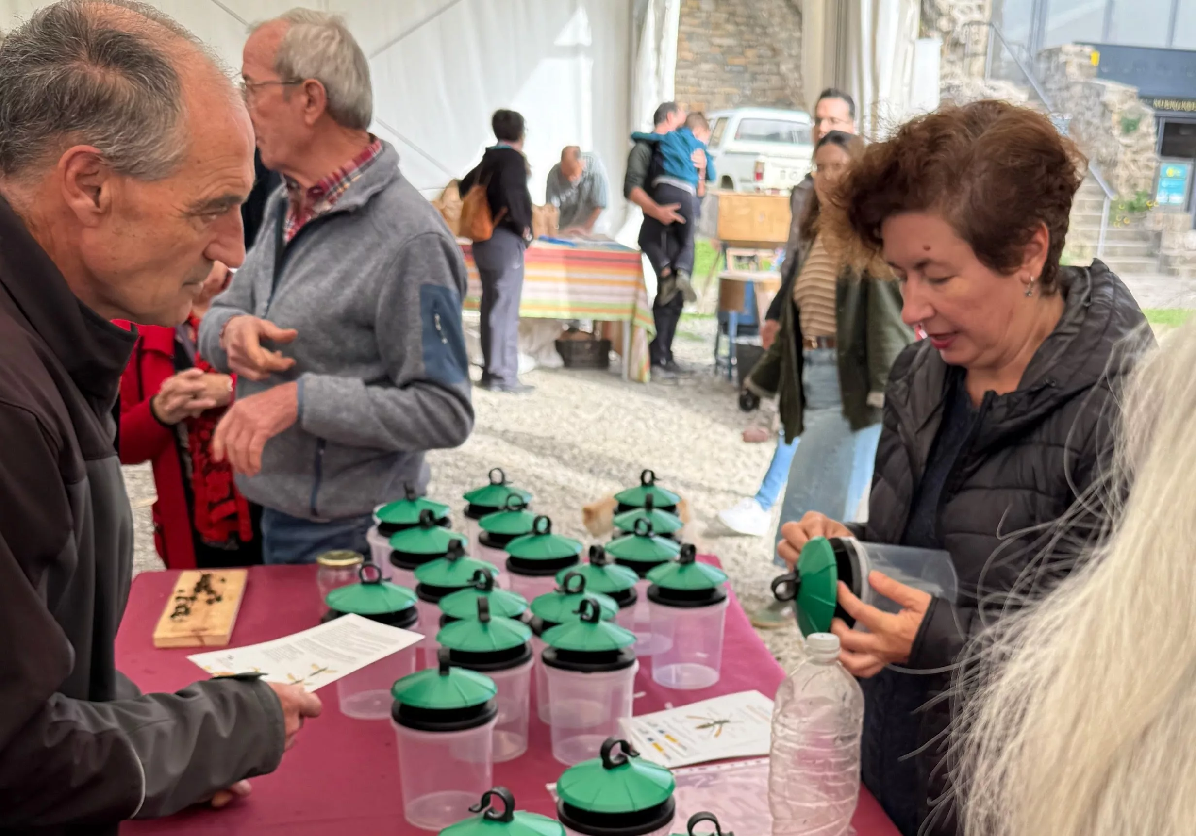 Reparto de trampas para avispas invasoras.