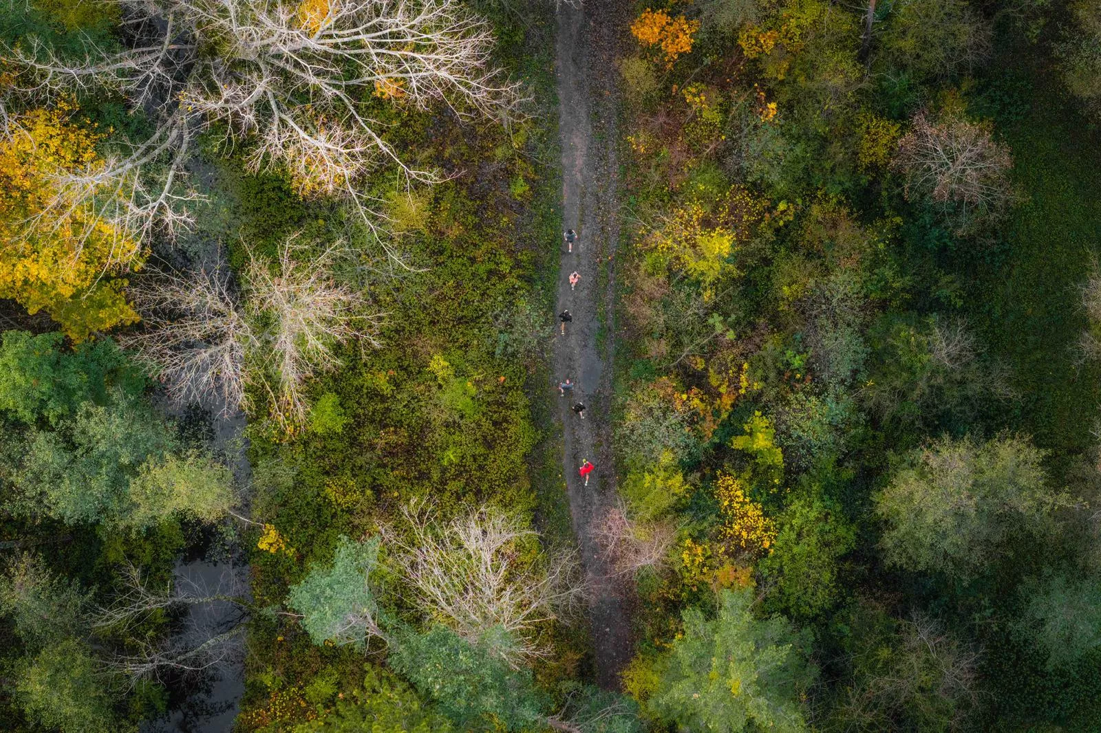 Cross del Juncaral 2025. Foto: Turismo Villanúa/Yhabril Moro