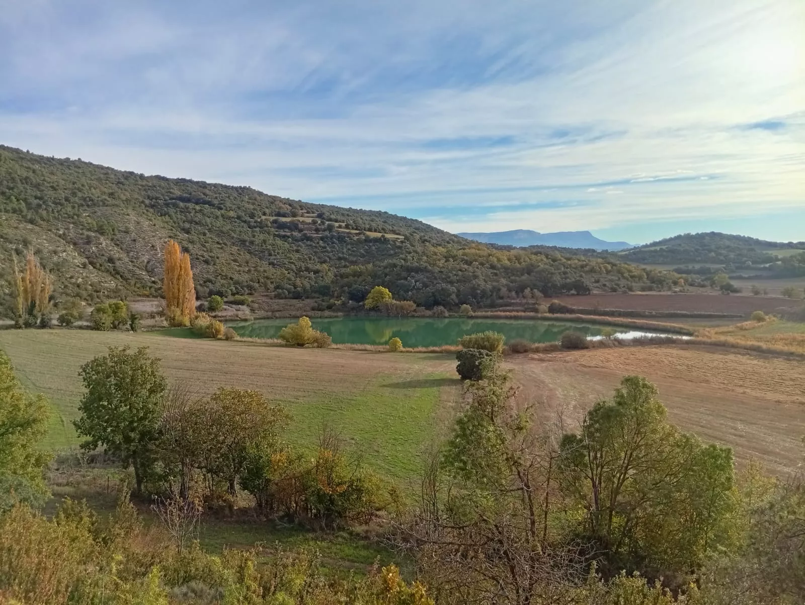 VII Jornadas de Amigos del Azafrán de Estaña
